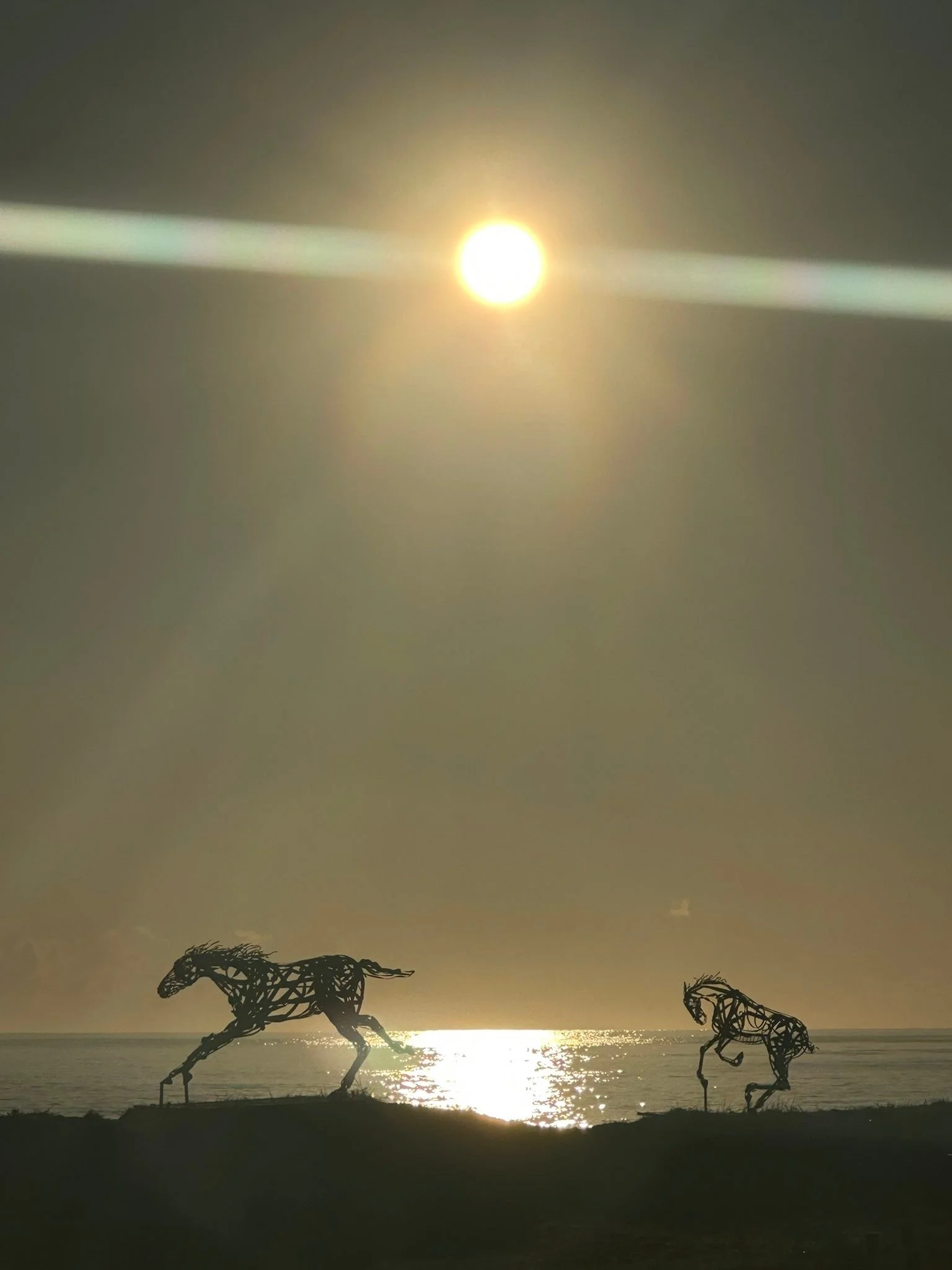 SWELL Sculpture Festival Kirra Beach House #swellsnaps2025 #swellsnap2025