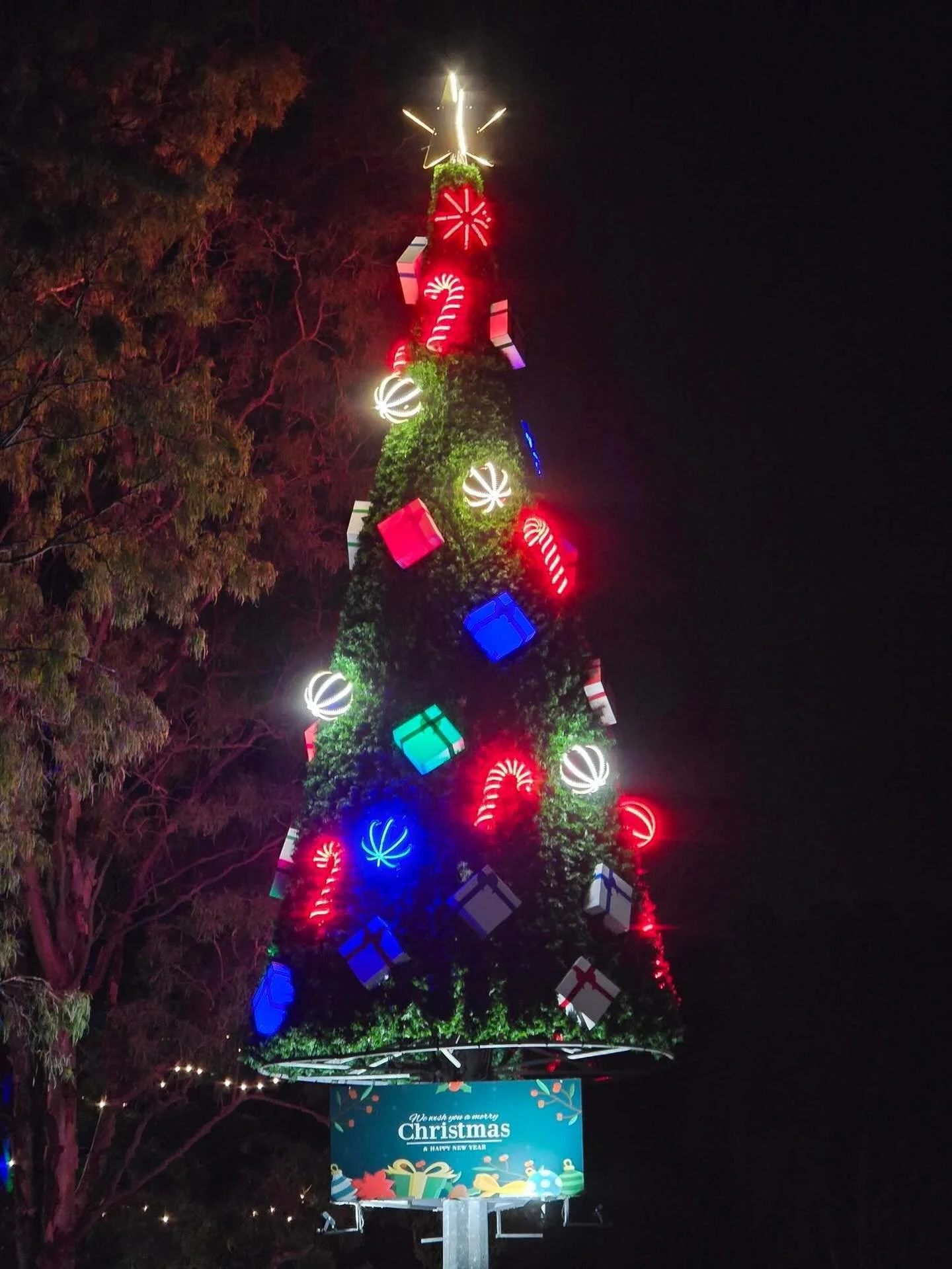 Our Christmas tree is lit 🔥🎄🎄