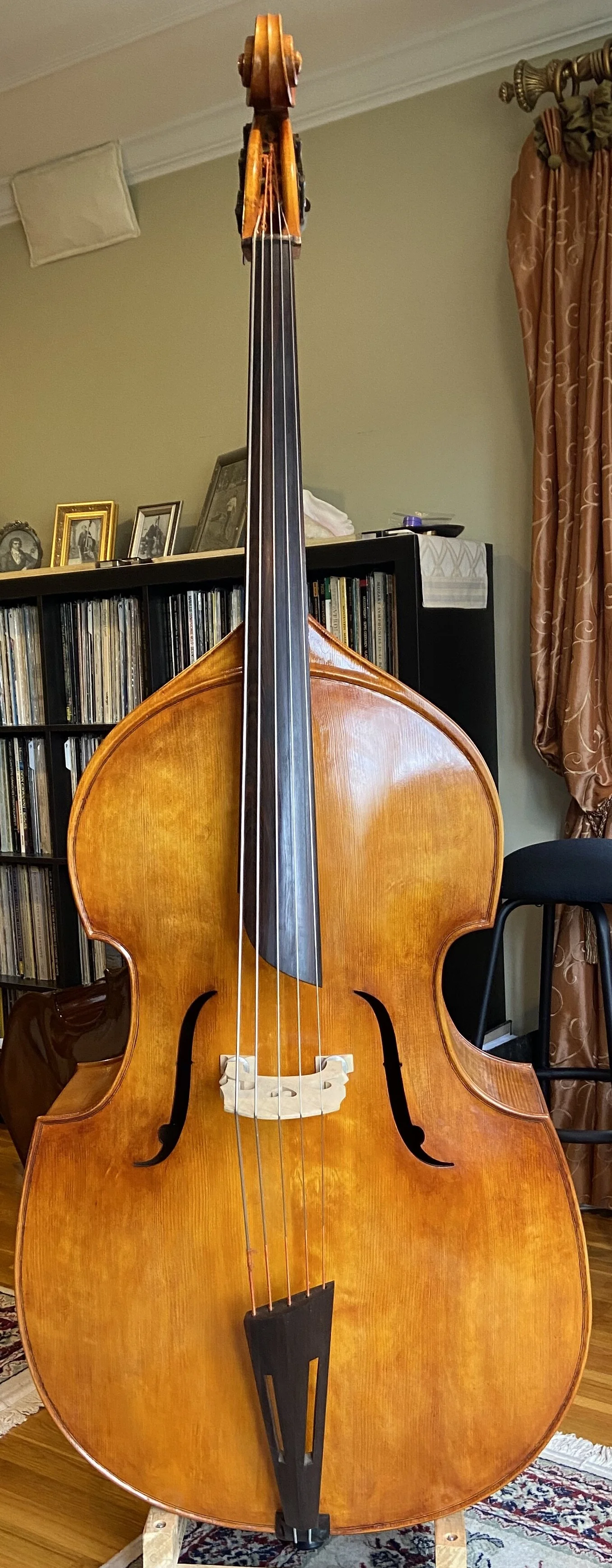 Alberto Viegas 5 string bass 2014