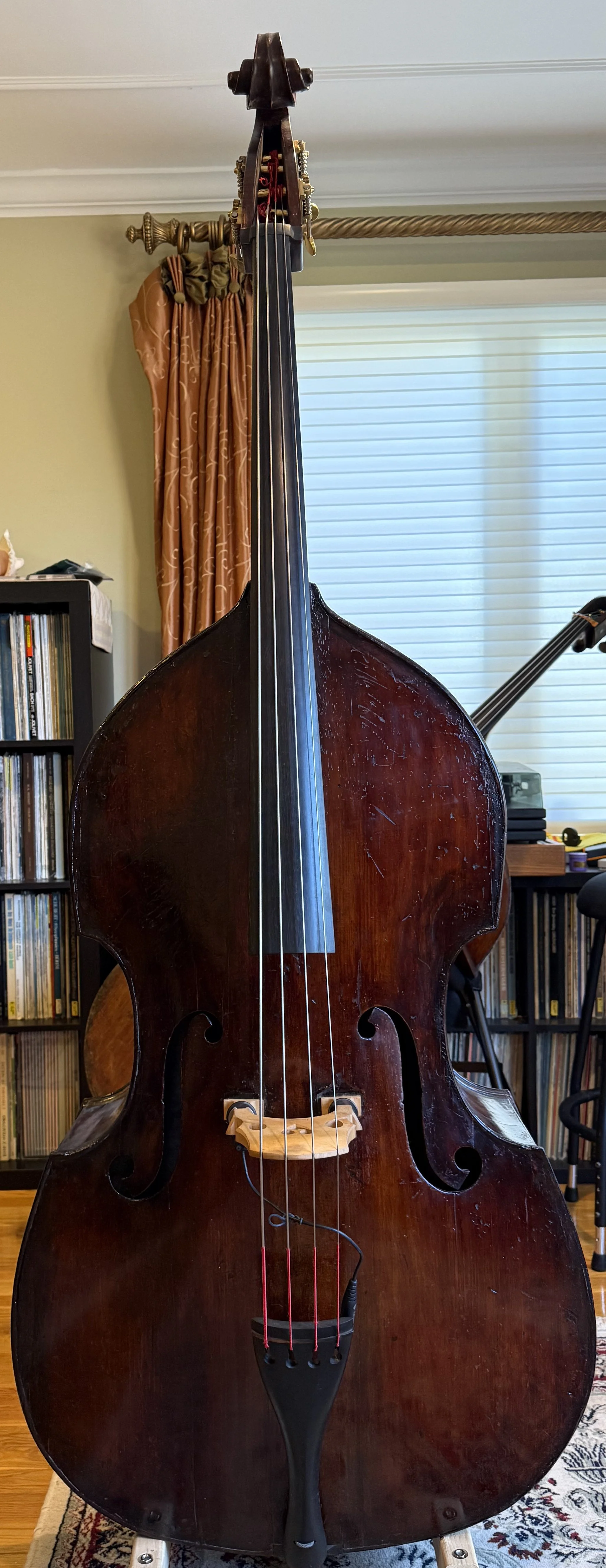 German bass, ca. 1910
