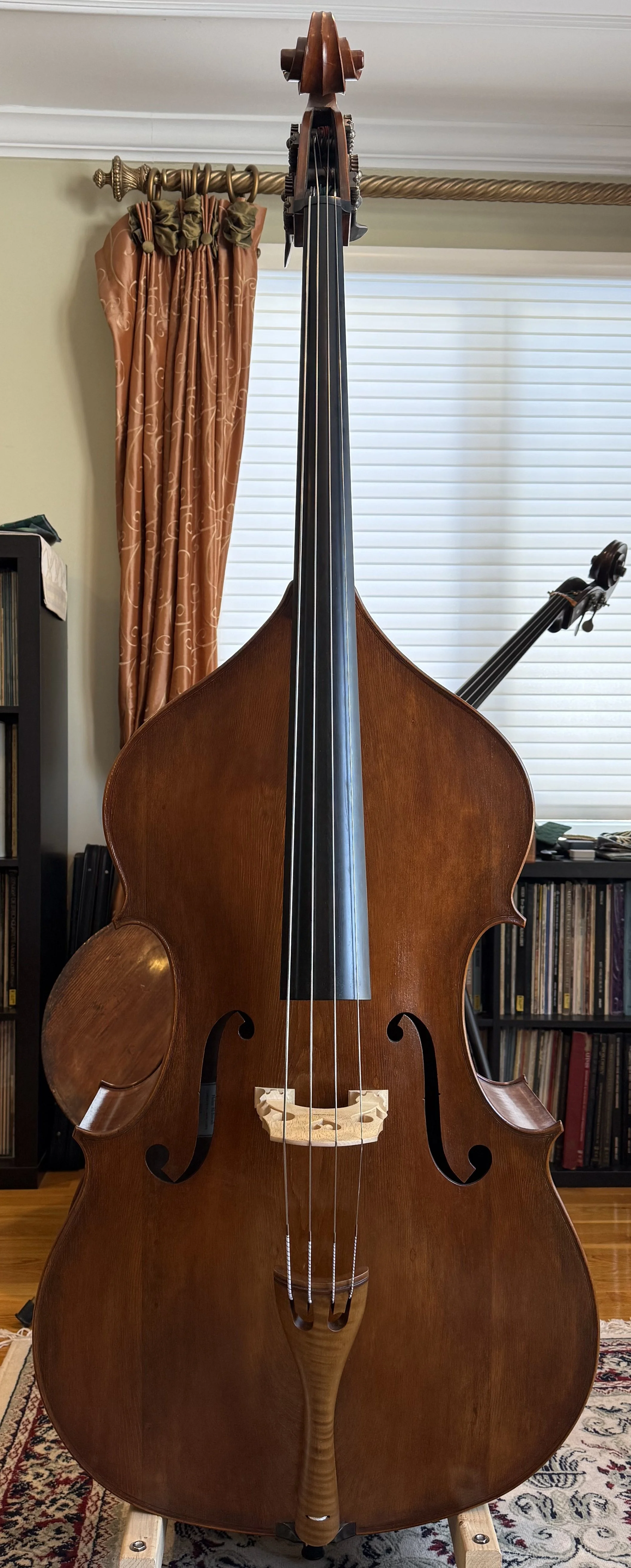 Helen McIntosh, 5/8 size, Piattellini Model, 2024