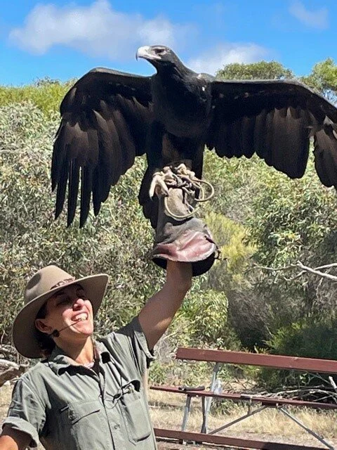 RAPTORS DOMAIN - Copy.jpg