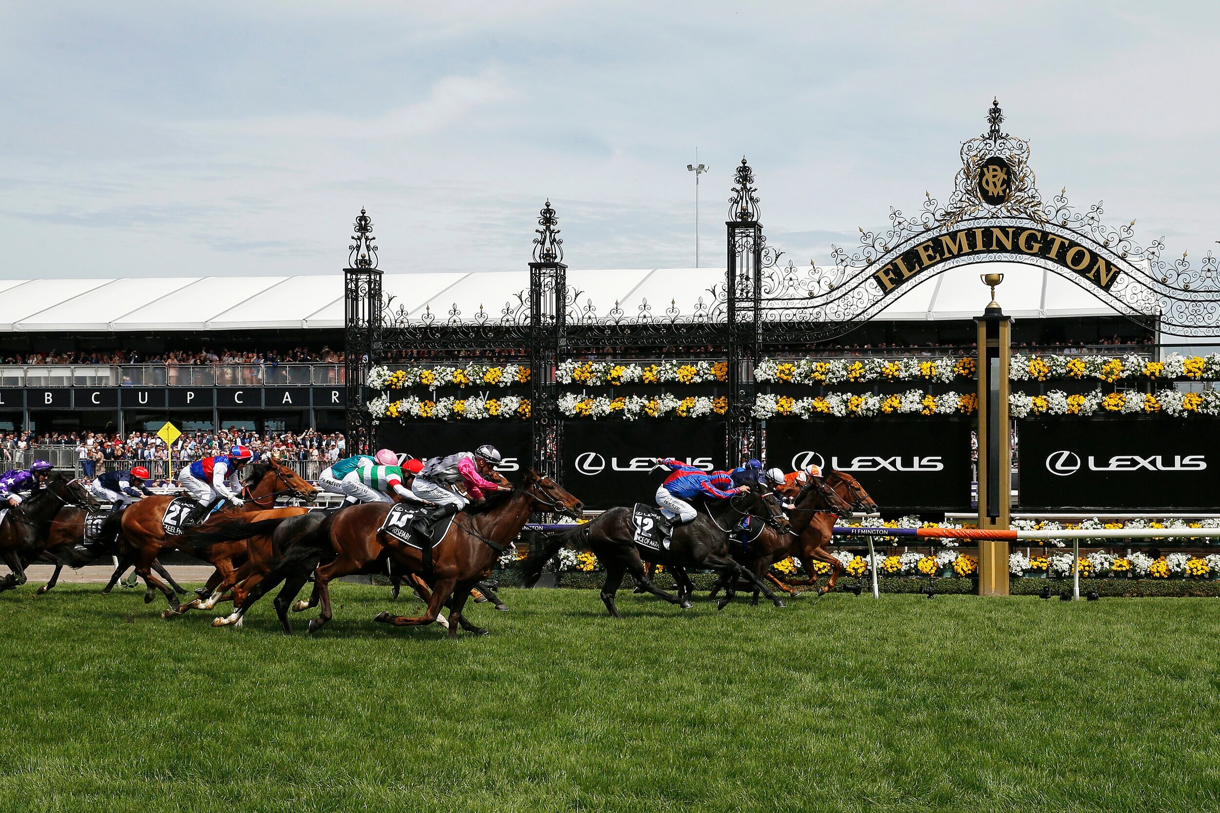 uwAustralia &amp; New Zealand Tours