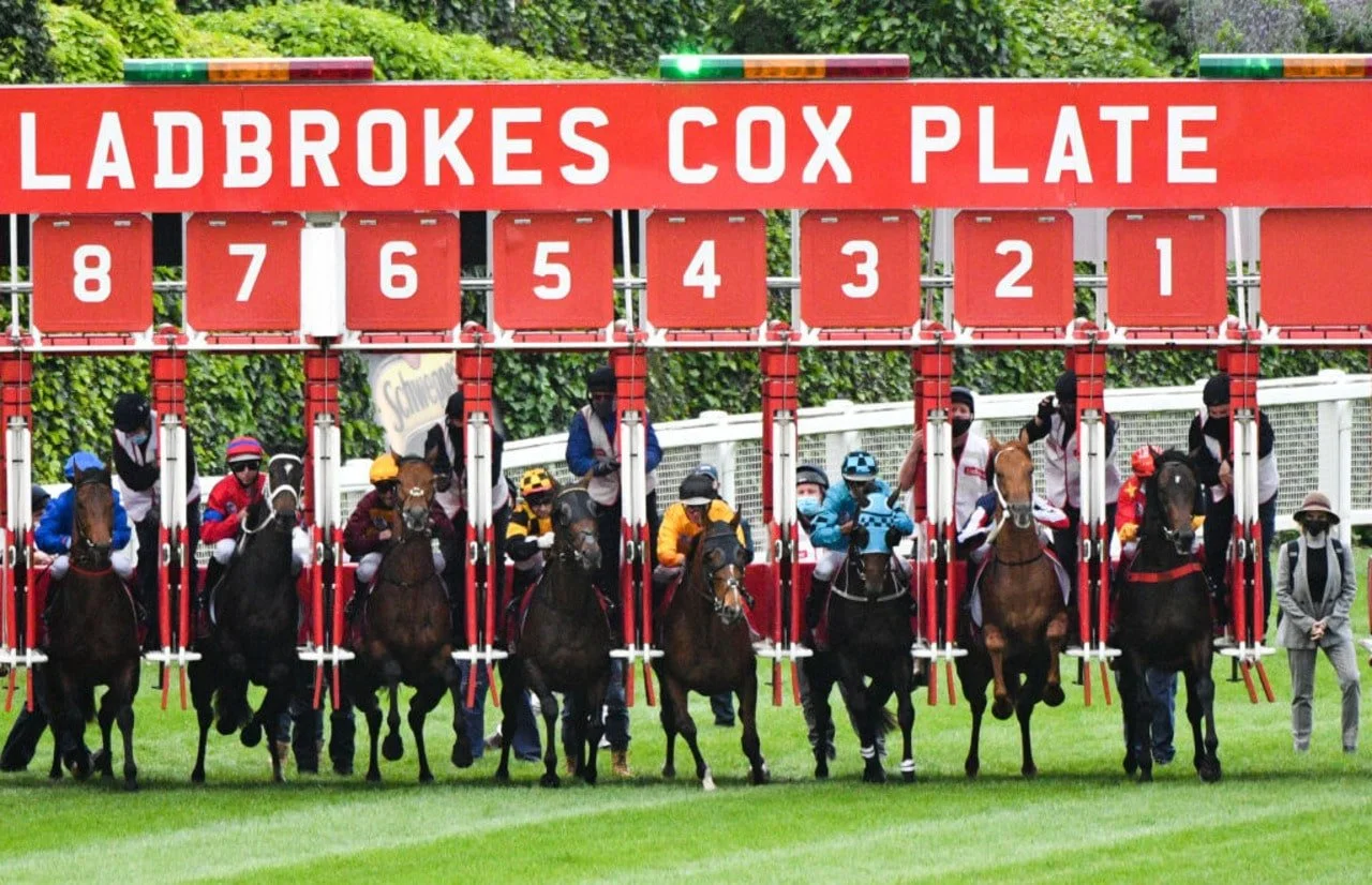 COX PLATE RACING TOUR — Ambassador Travel Services