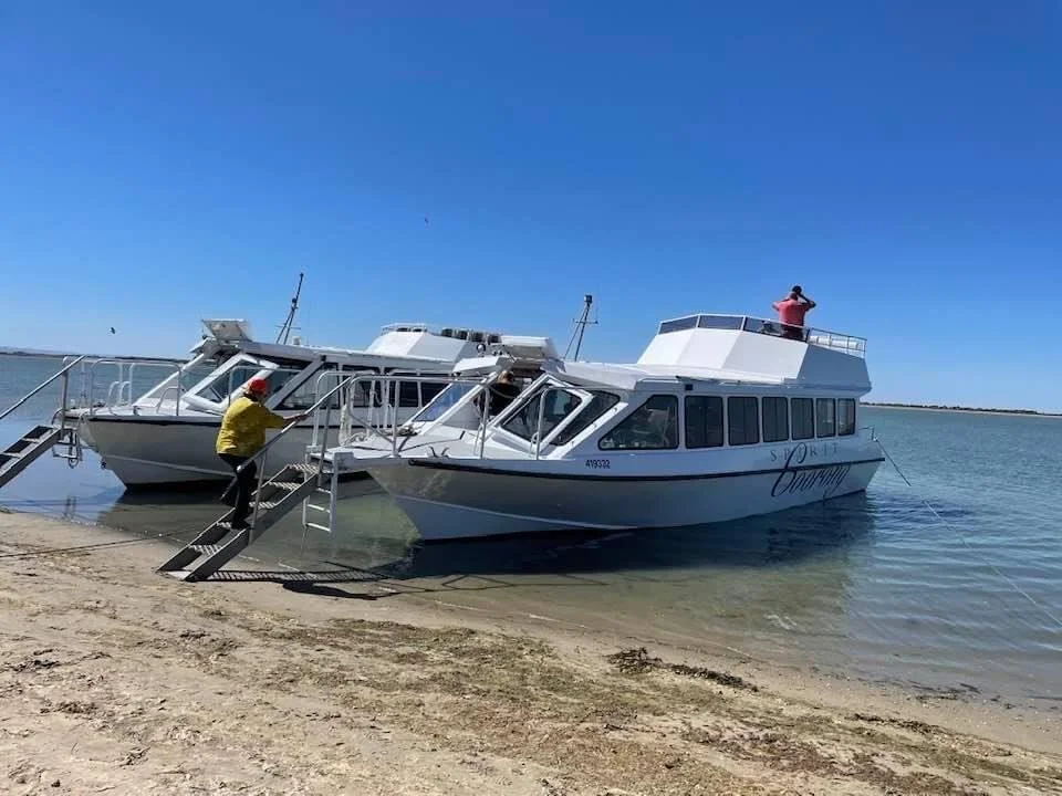 SPIRIT OF COORONG - Copy.jpg