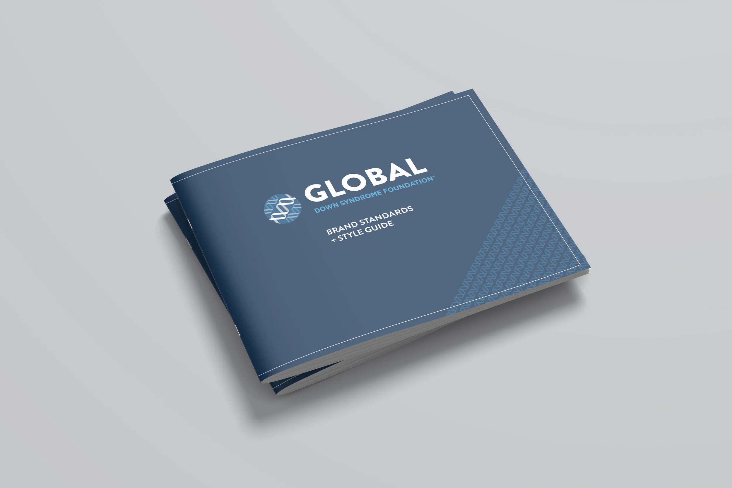 GDSF Brand Standards Mockup 01.jpg