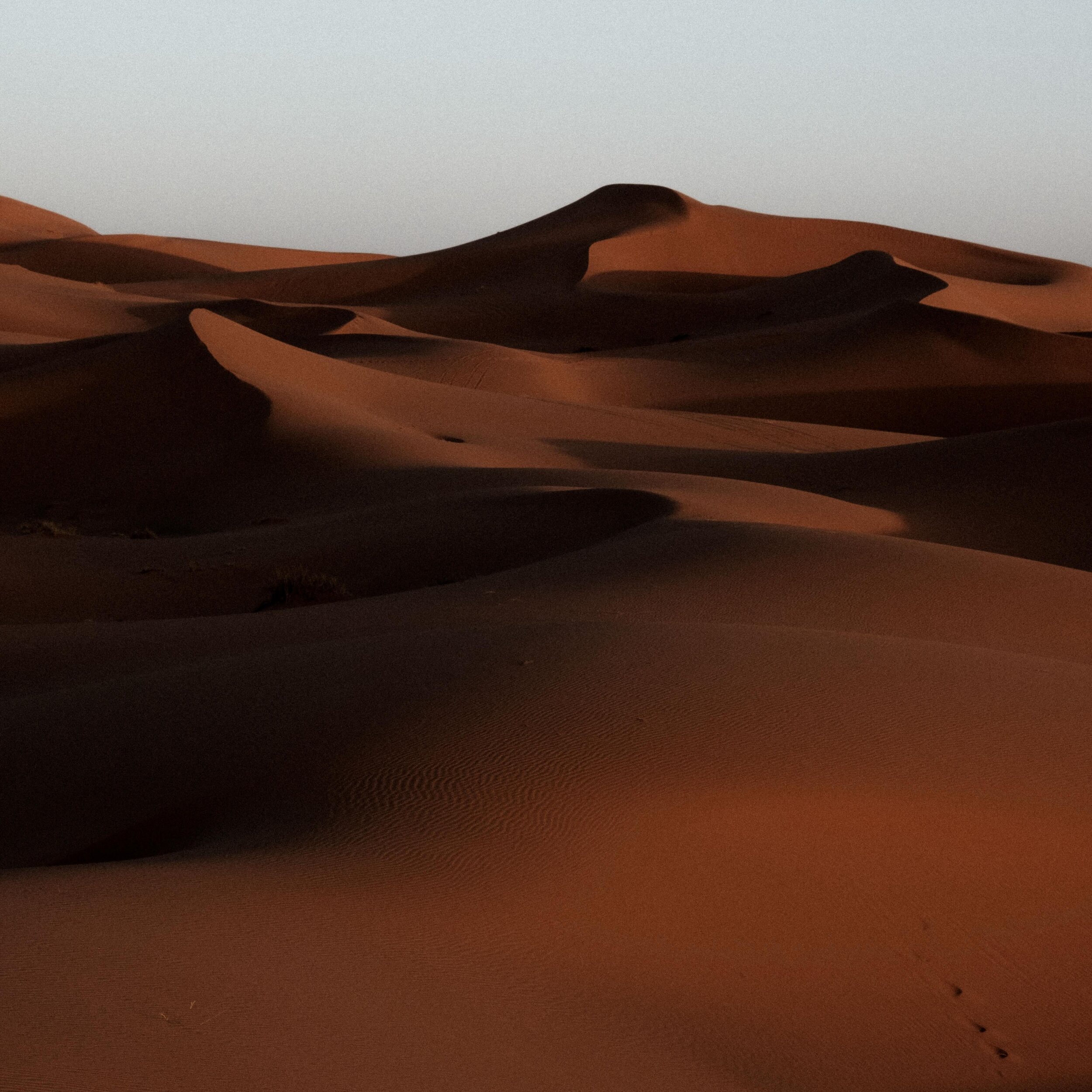 Sahara desert (Morocco 2024)
.
.
.
.
#sahara #morocco #saharadesert #saharadessertmorocco #merzuga #abstractphotography #outdoorphotography #naturephotography #travelphotography #natgeo #natgeotravel #overlanding #fuji #fujifilmxt3 #xt3 #fujixseries 