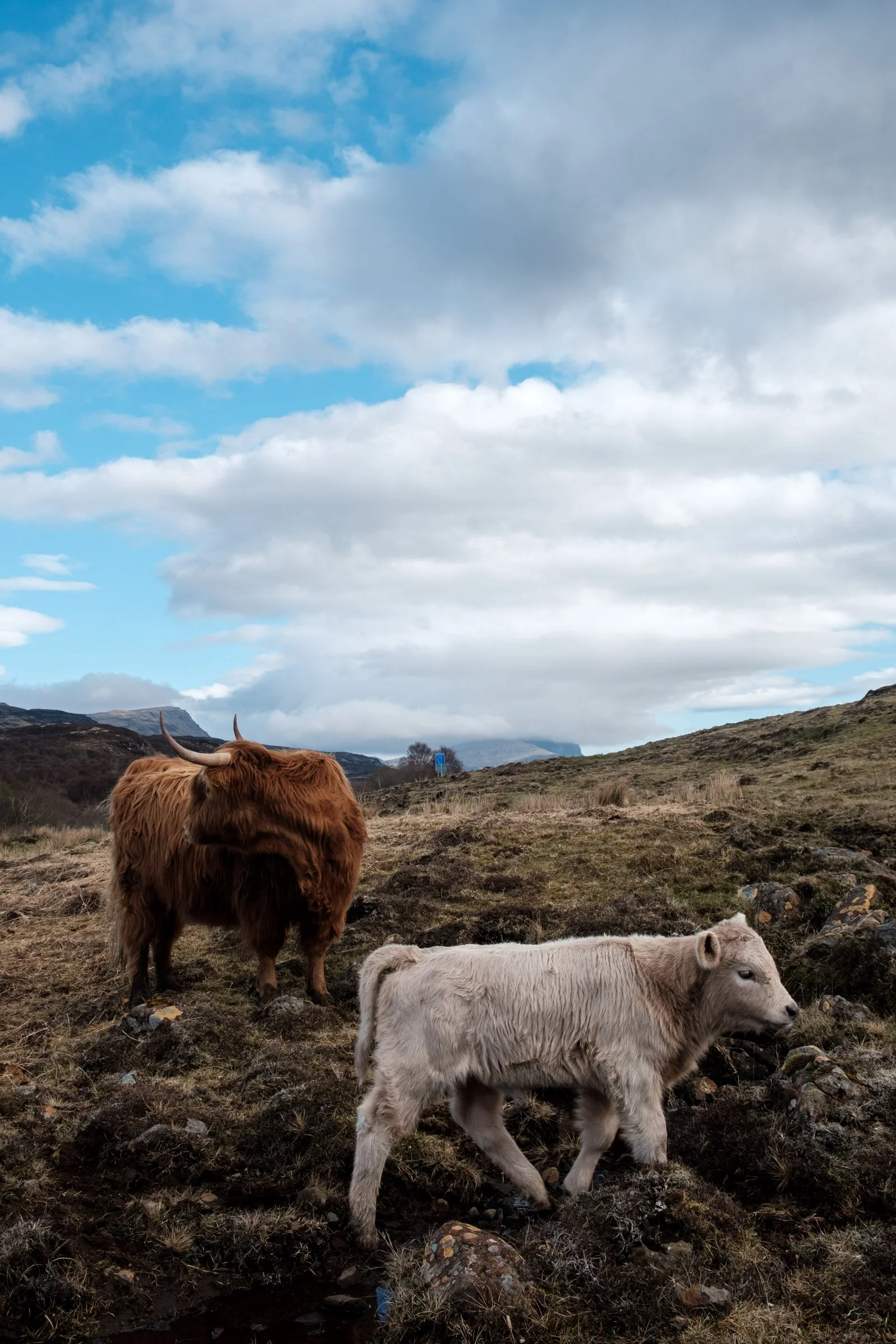 skye trail versie 2-5.jpg