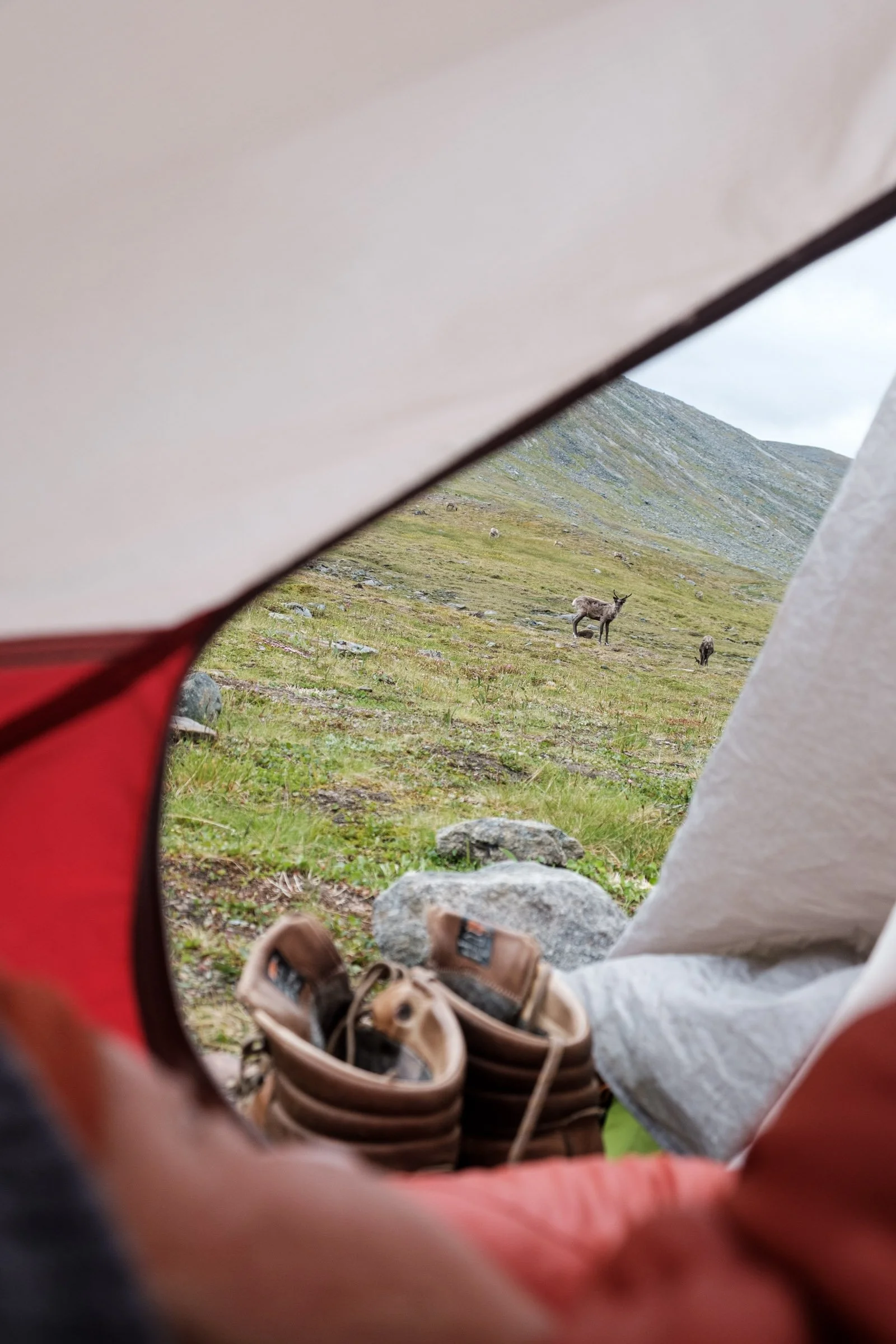 kungsleden-3.jpg