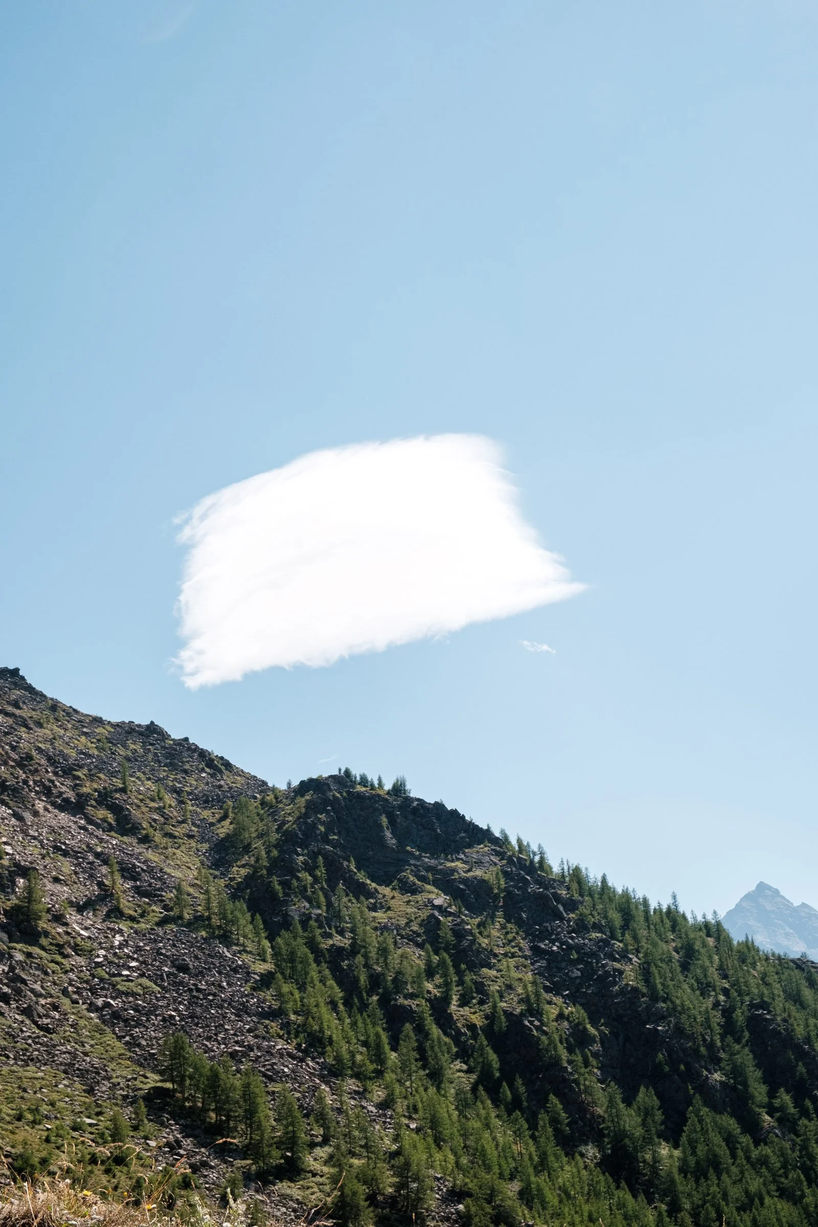Bretagne squarespace website-3.jpg
