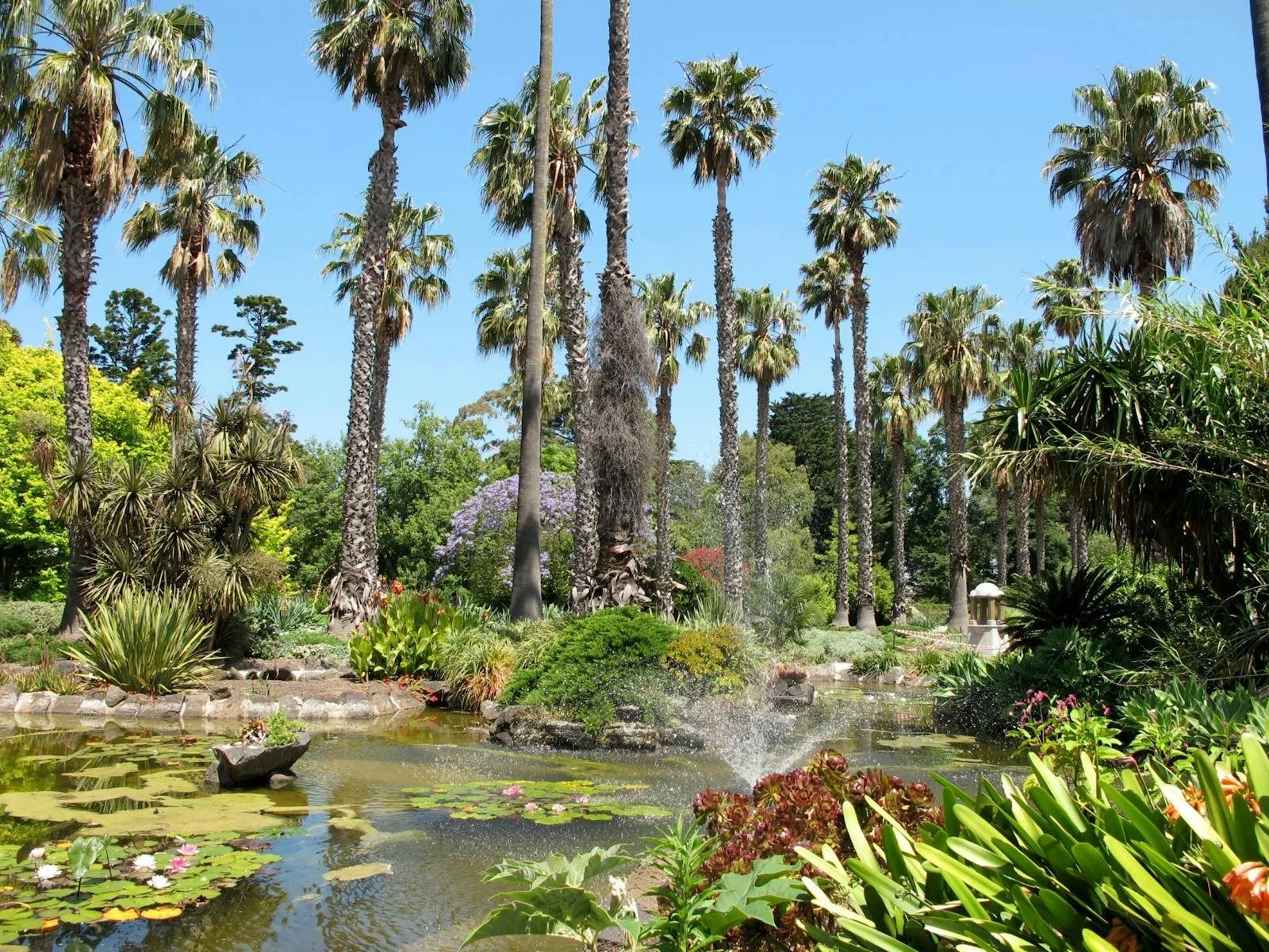 Williamstown Botanic Garden 165th birthday celebrations