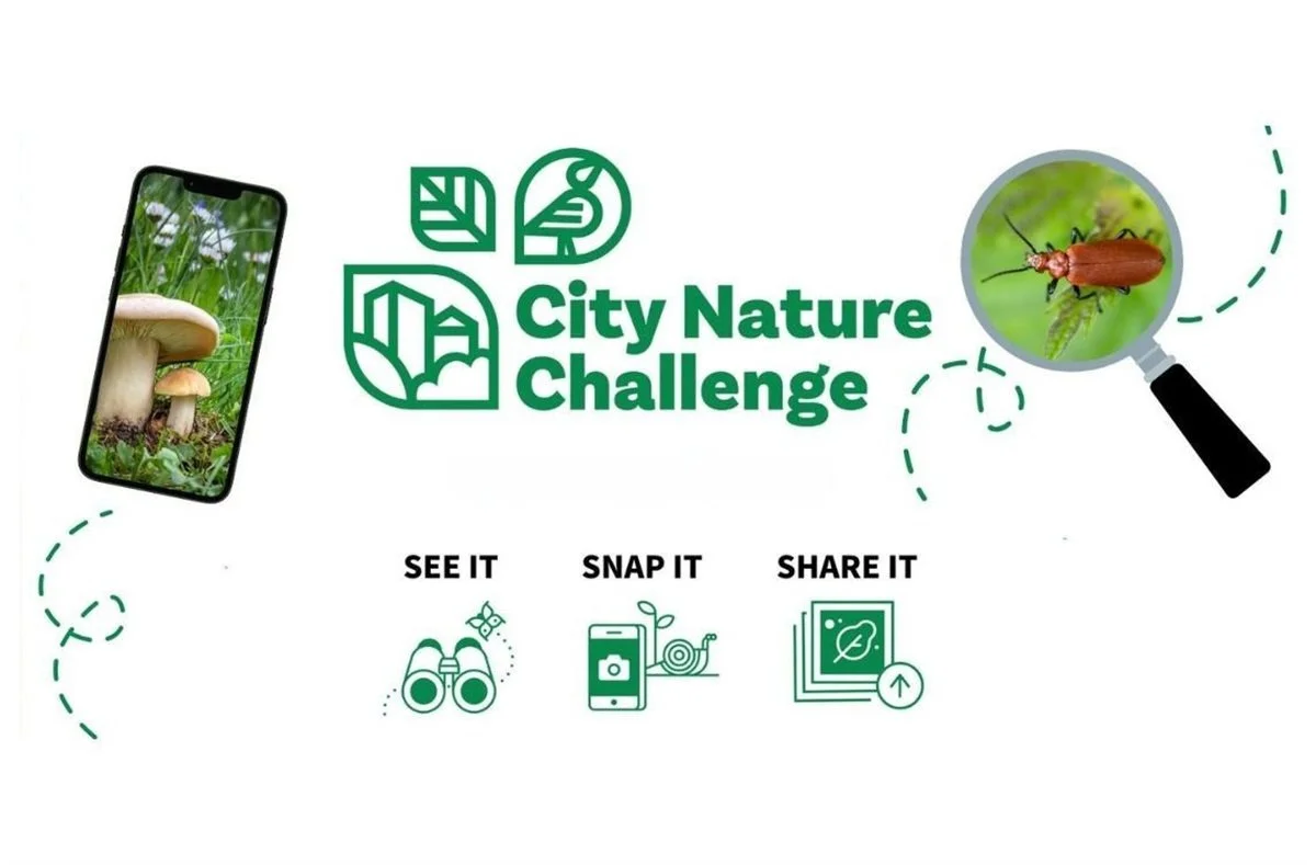 Citizen Science: City Nature Challenge - Newport Lakes Mothing Night