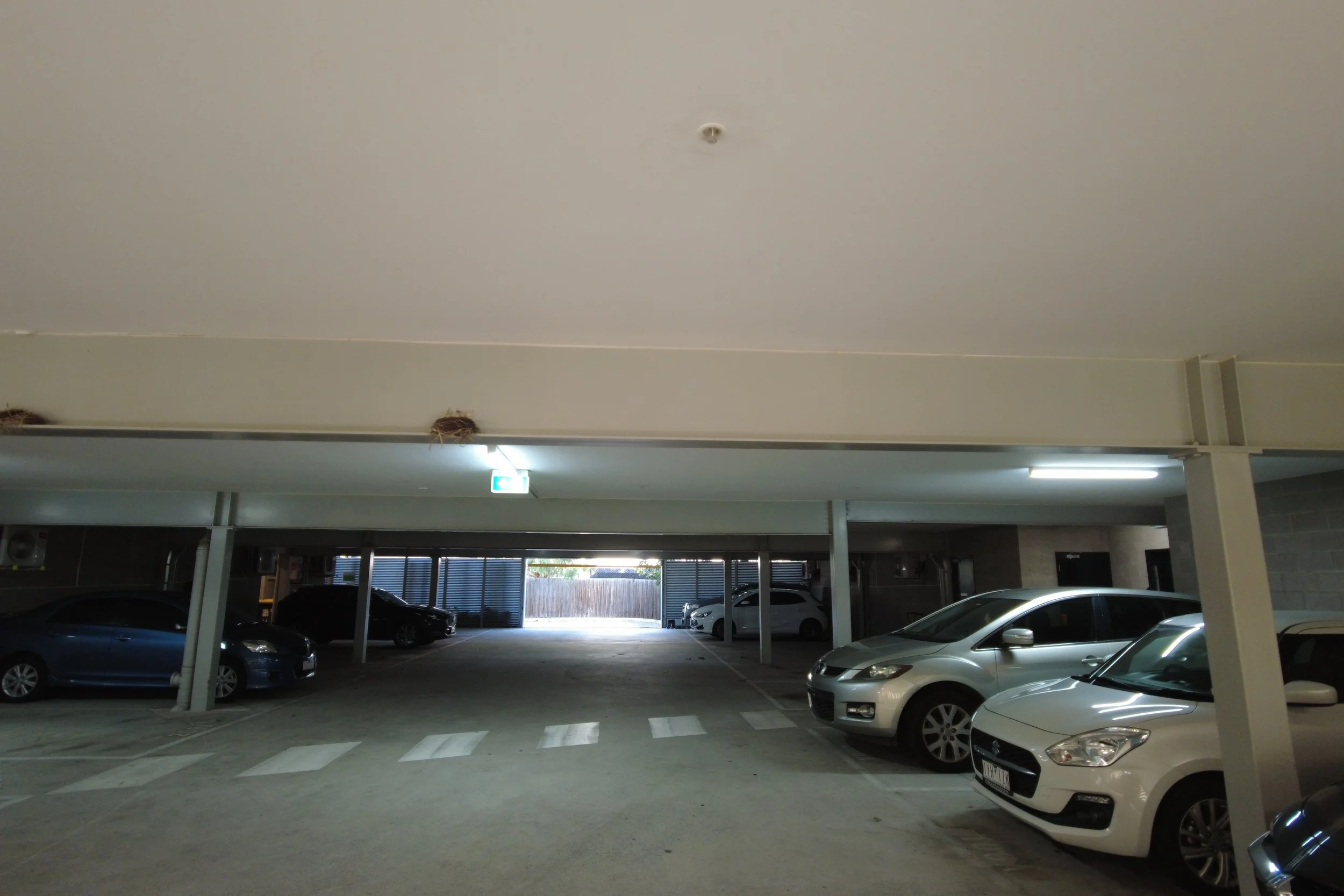 pic11.JPG