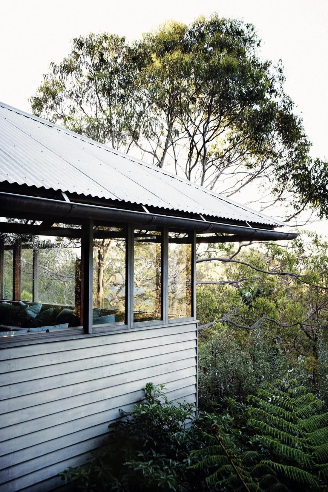 Is your neighbour’s tree damaging your property? — Wainwright Legal