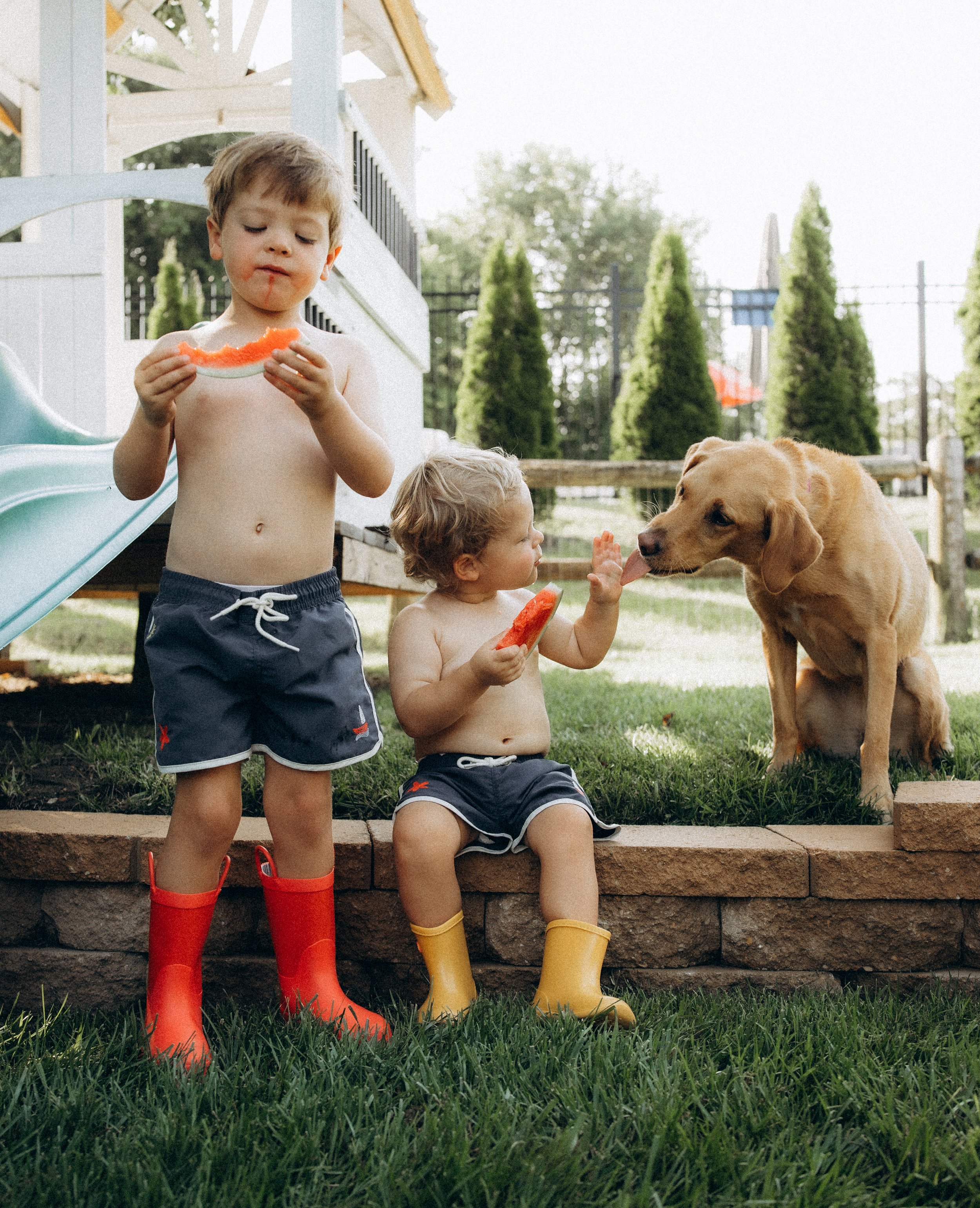 In-Home and Backyard Family Session in Springfield, MO