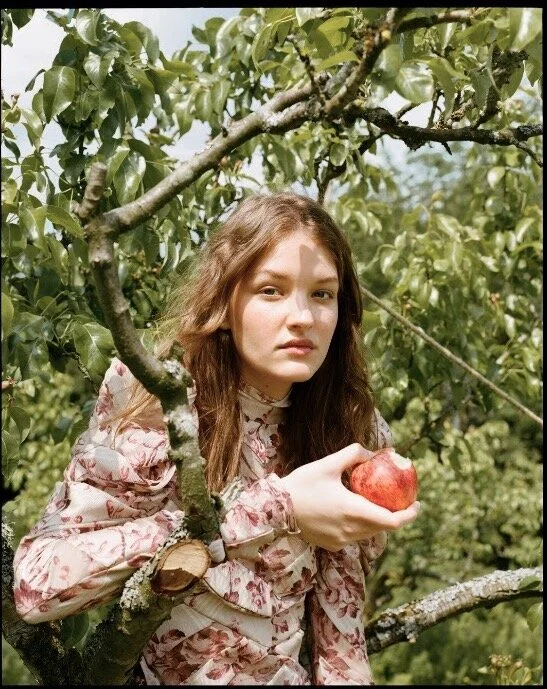 Screen Shot 2020-01-27 at 14.57.27.jpg