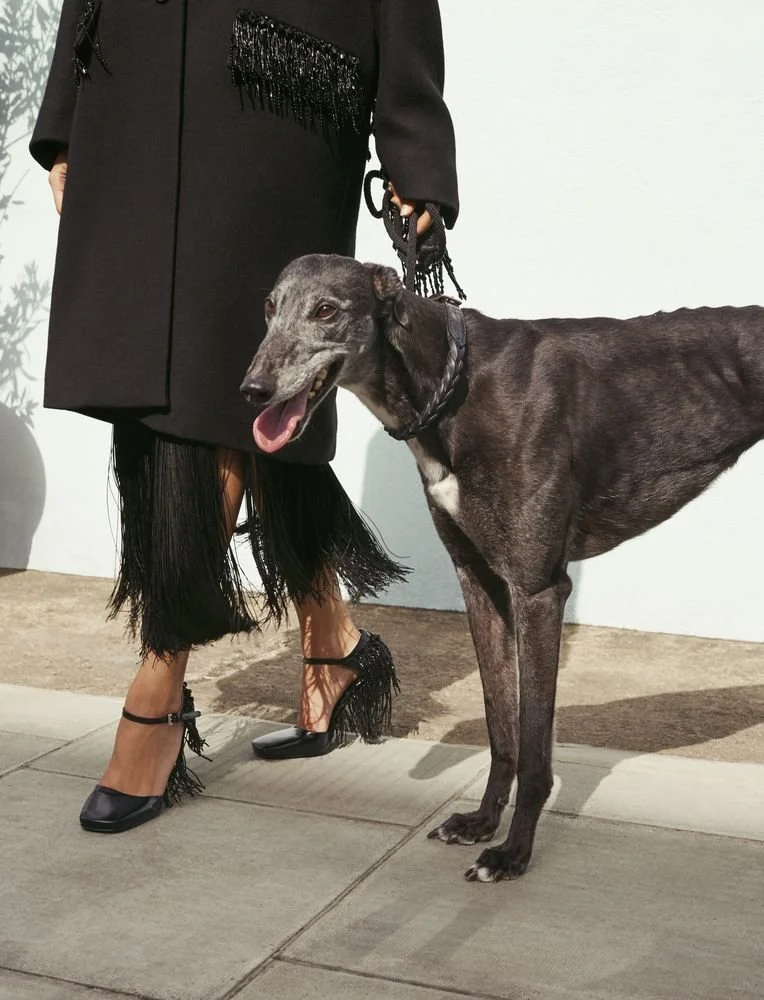 Shot_08_061_V2-CUT OUT_preview.jpg