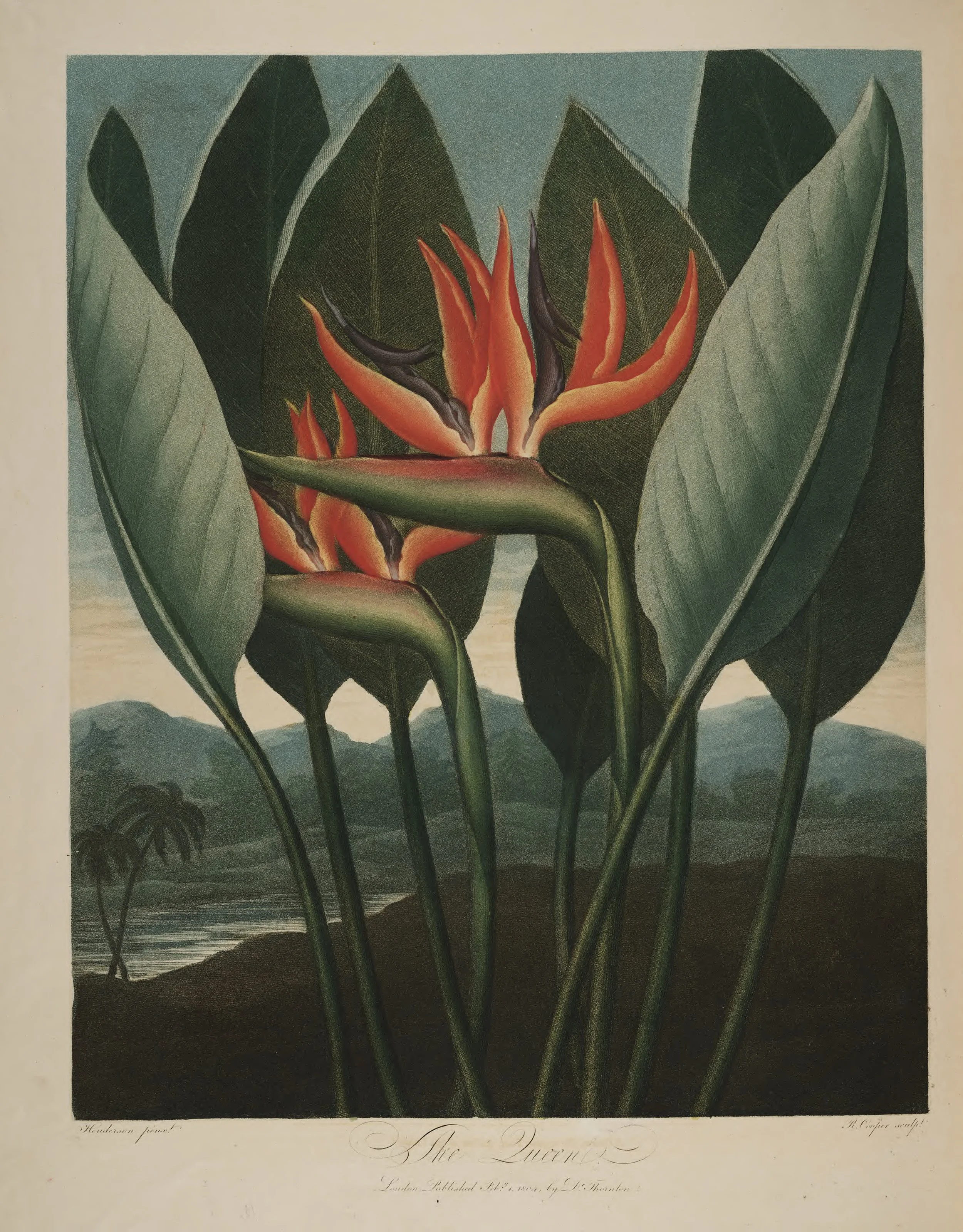 Flowers_Foliage.jpg