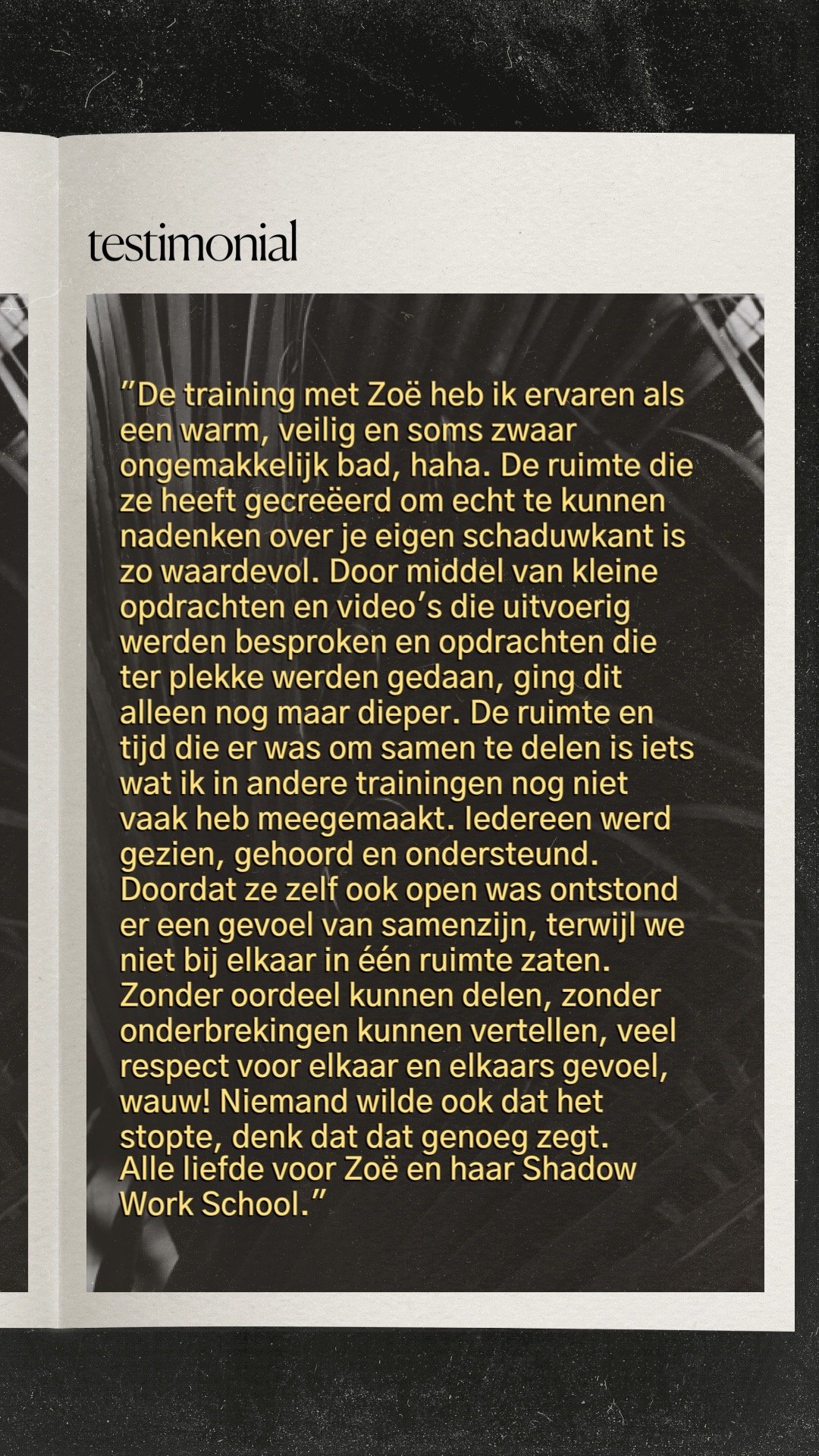 Shadow Work School - Testimonial Nederlandstalig 1.JPG