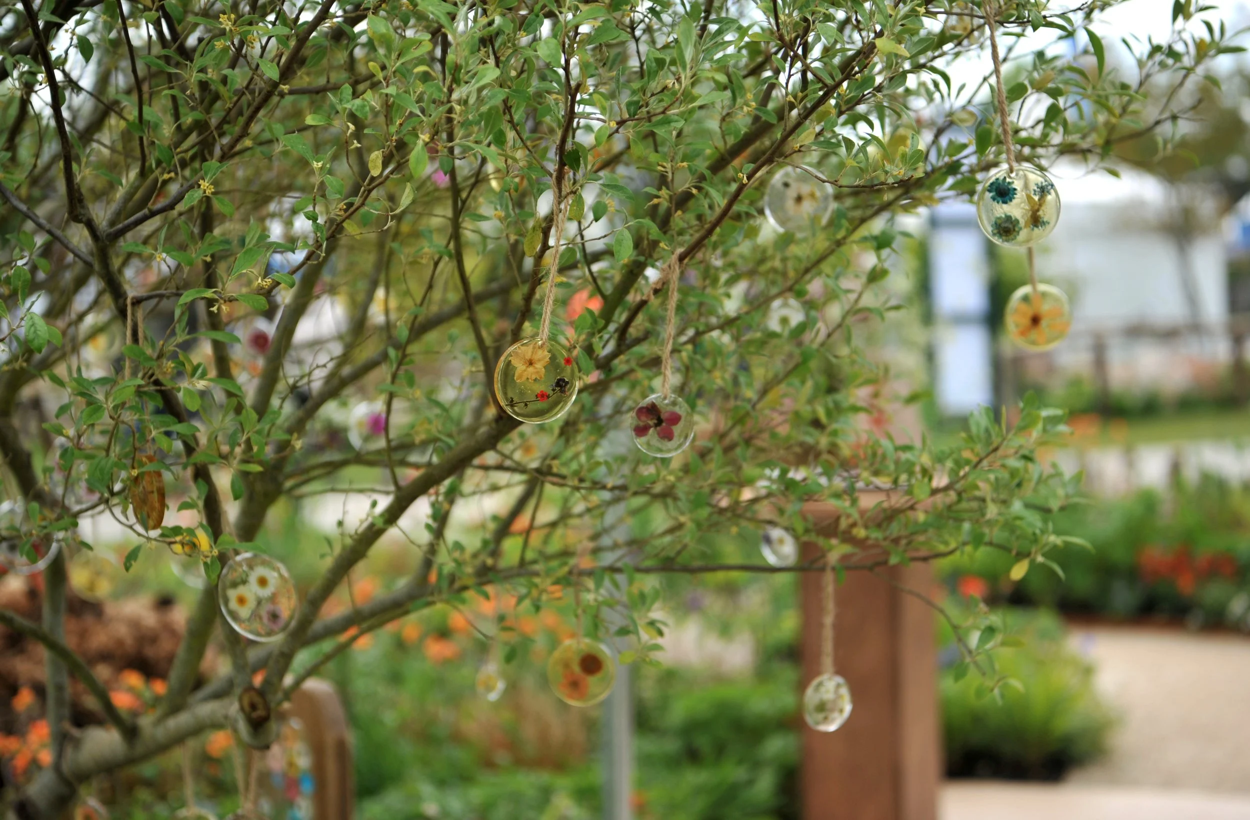 RHS_Malvern_Show_Gardens_060526_056.JPG