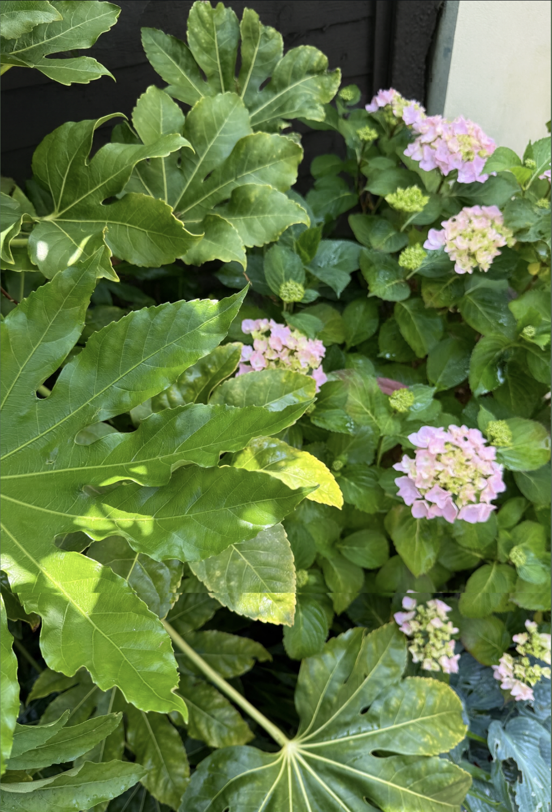 Screenshot 2025-12-01 at 17.41.38.png