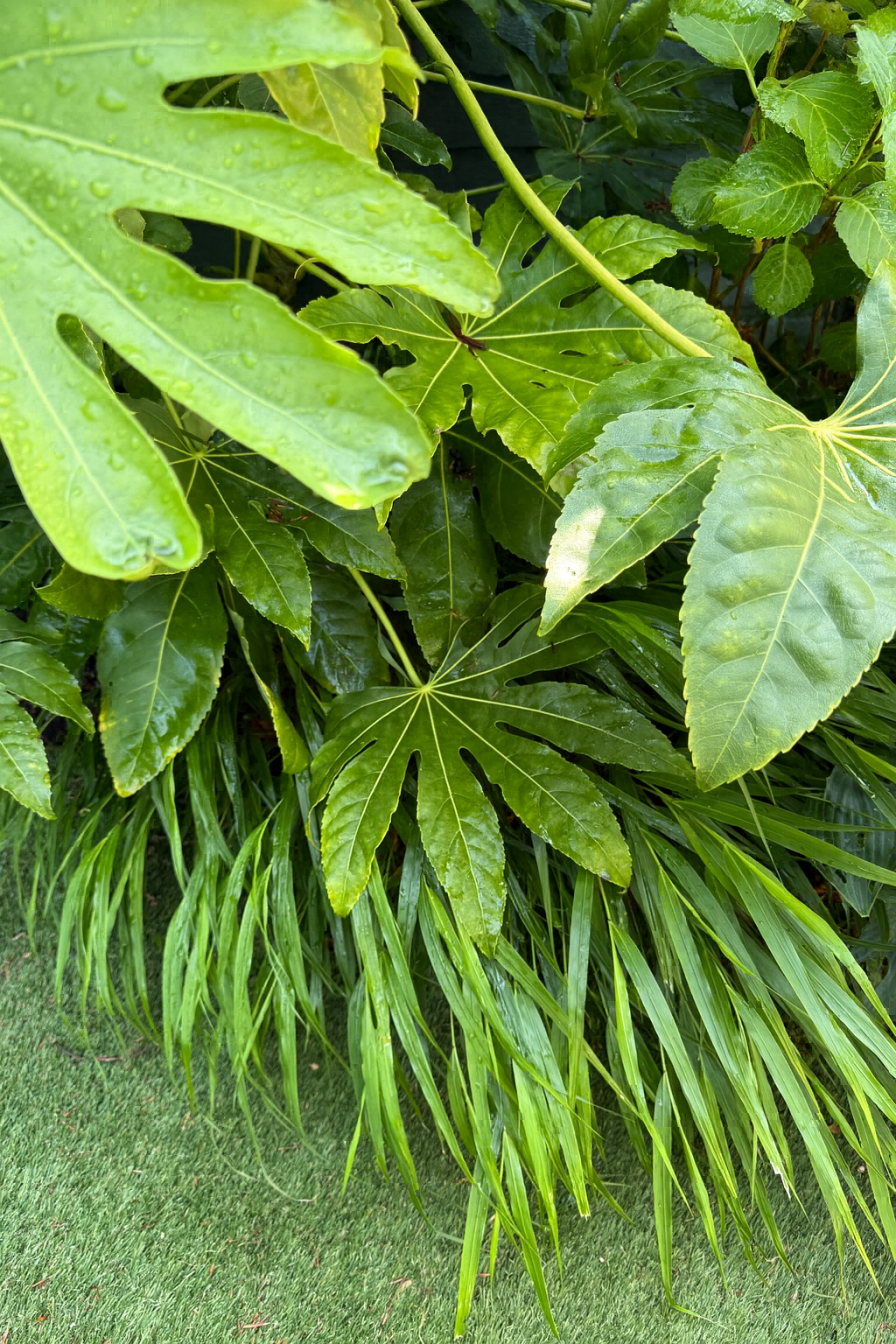 ChatGPT Image Dec 1, 2025, 05_20_45 PM.png