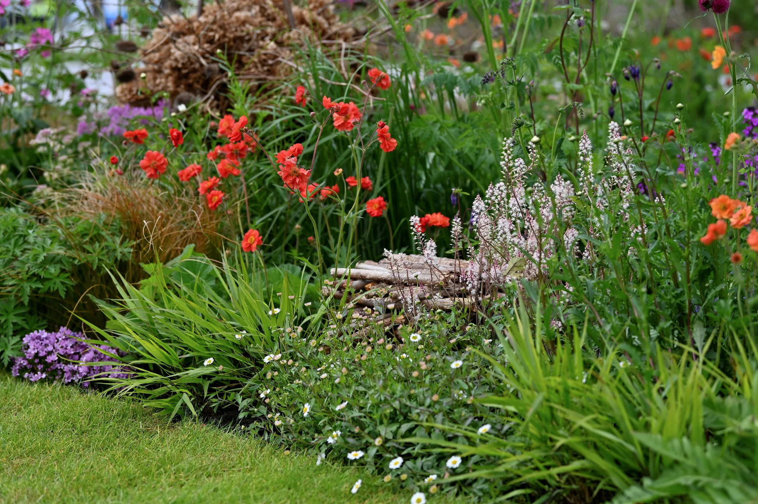 RHS_Malvern_Show_Gardens_060526_047.JPG