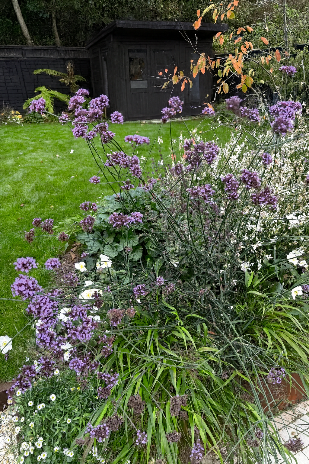 ChatGPT Image Dec 1, 2025, 09_18_56 PM.png