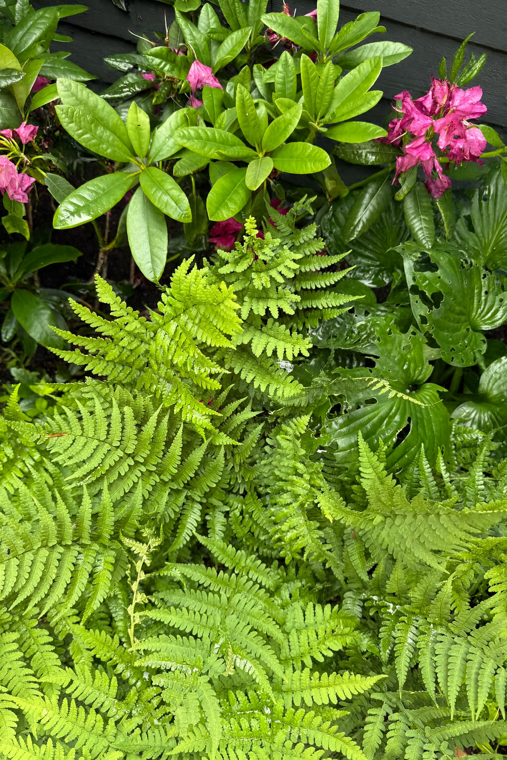 ChatGPT Image Dec 1, 2025, 05_46_29 PM.png