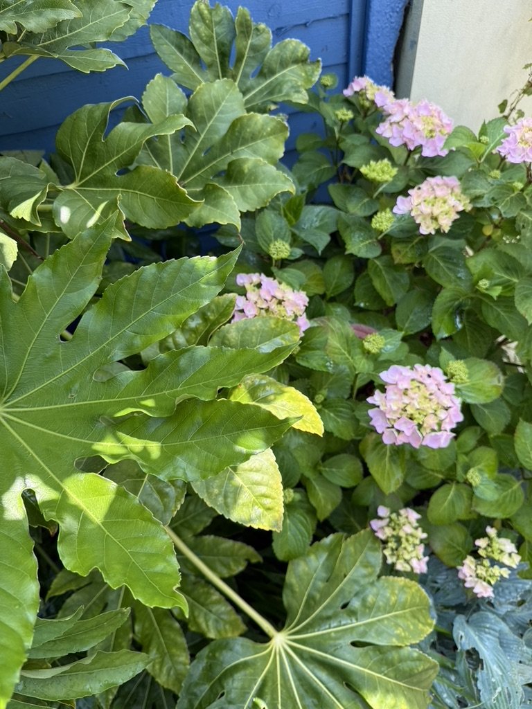 B430B32A-5ACE-459F-AE05-F6AB1C0AF761_1_105_c.jpeg