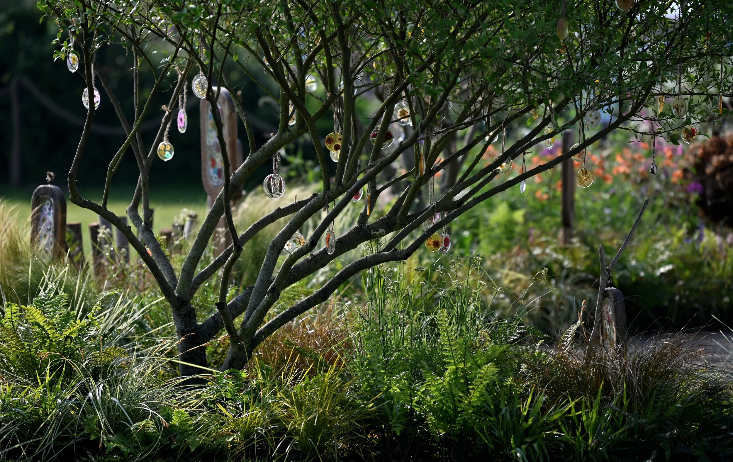 RHS_Malvern_Day3_090526_068.JPG