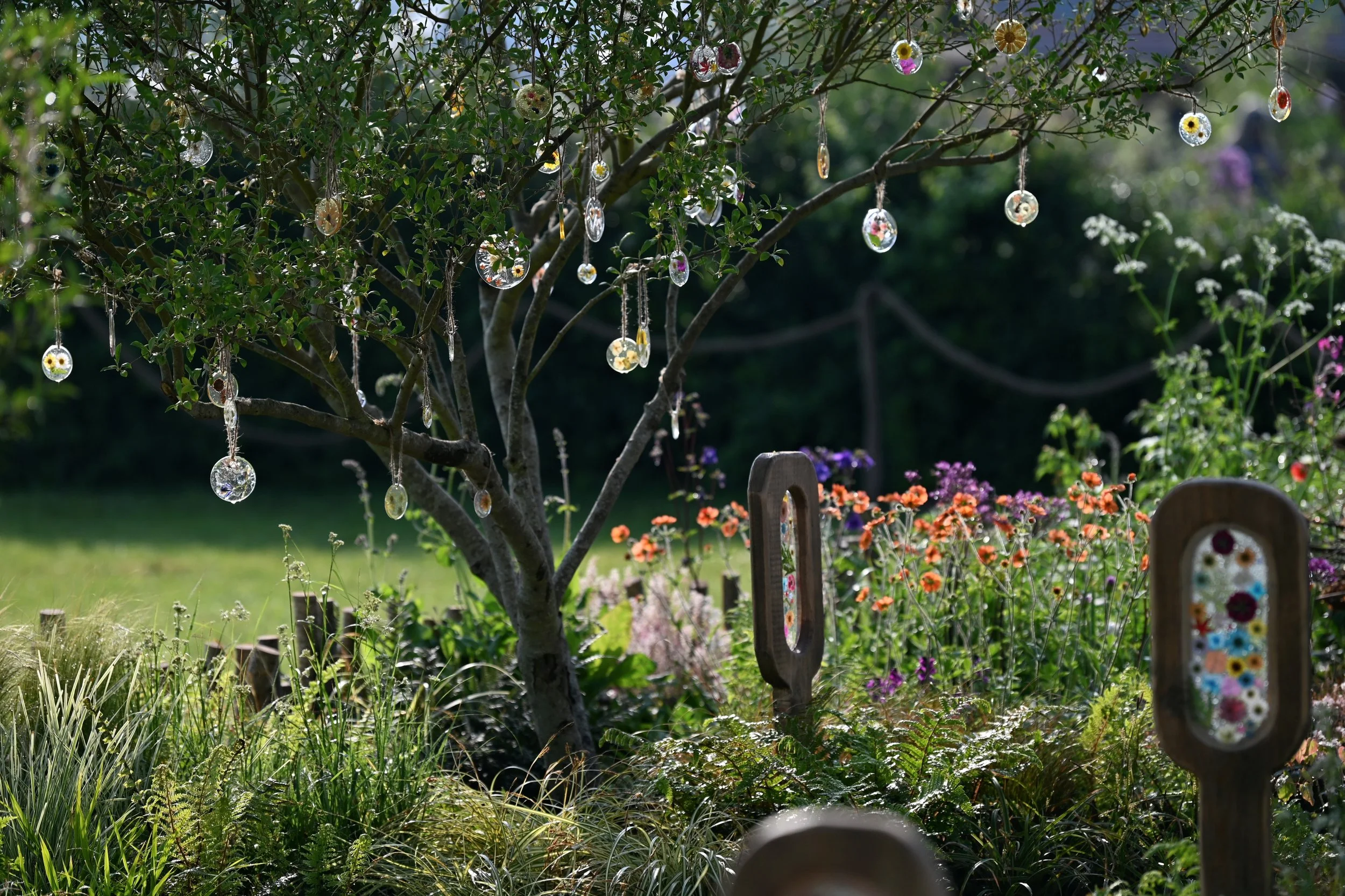 RHS_Malvern_Day3_090526_071.JPG