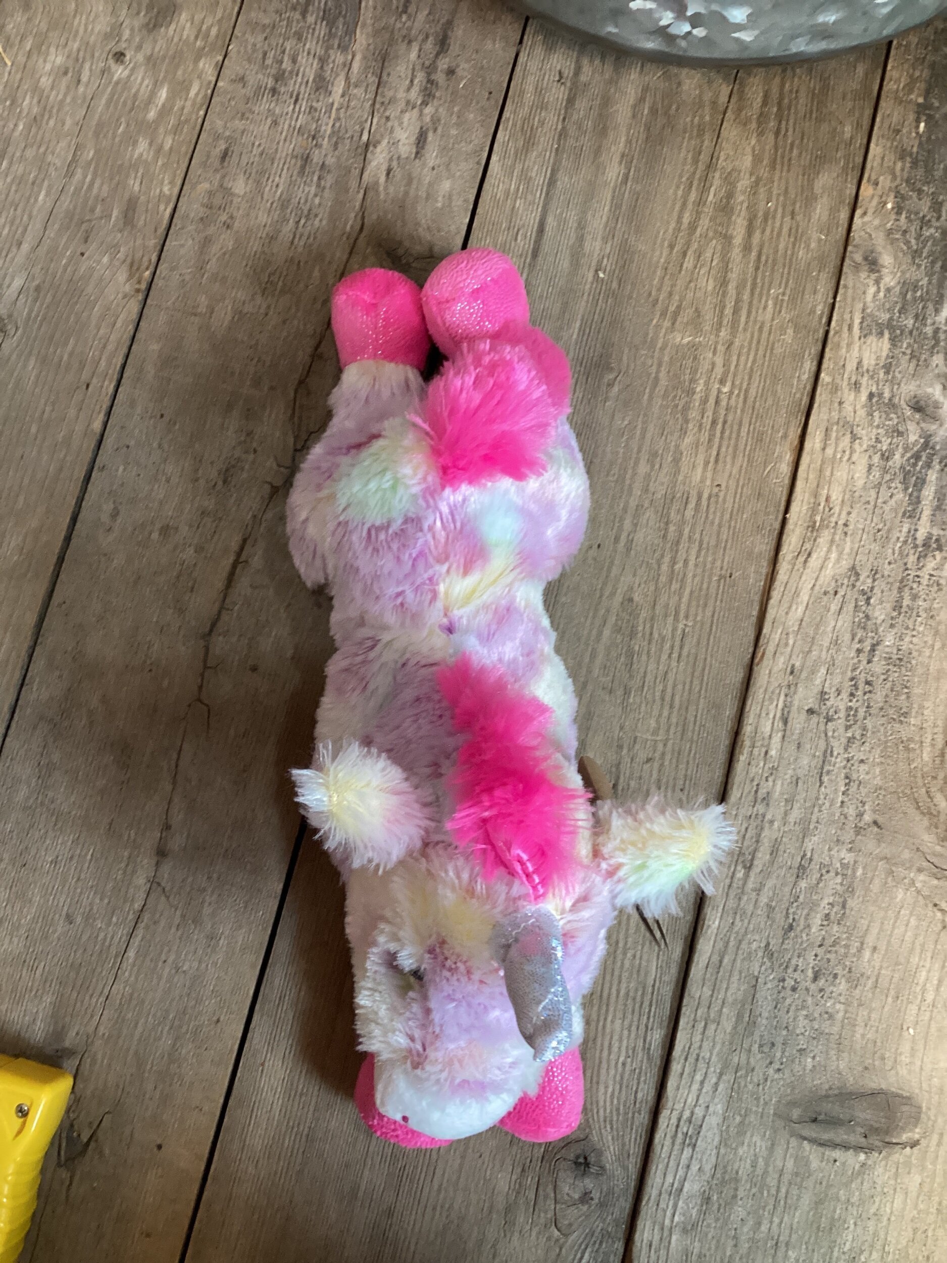 D7FA5D3C-184B-4627-84C5-710E81EEB9F4.jpeg