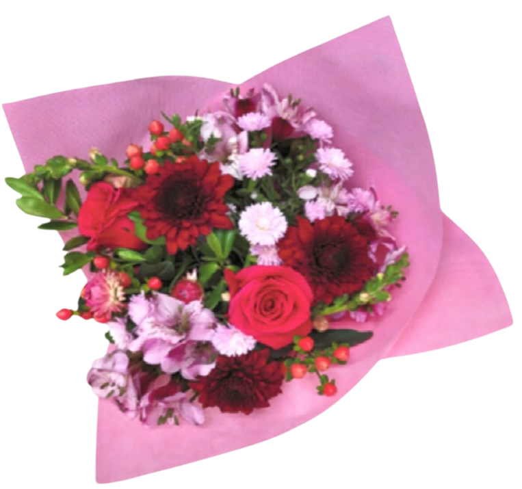 Photoroom_20250130_212610.png