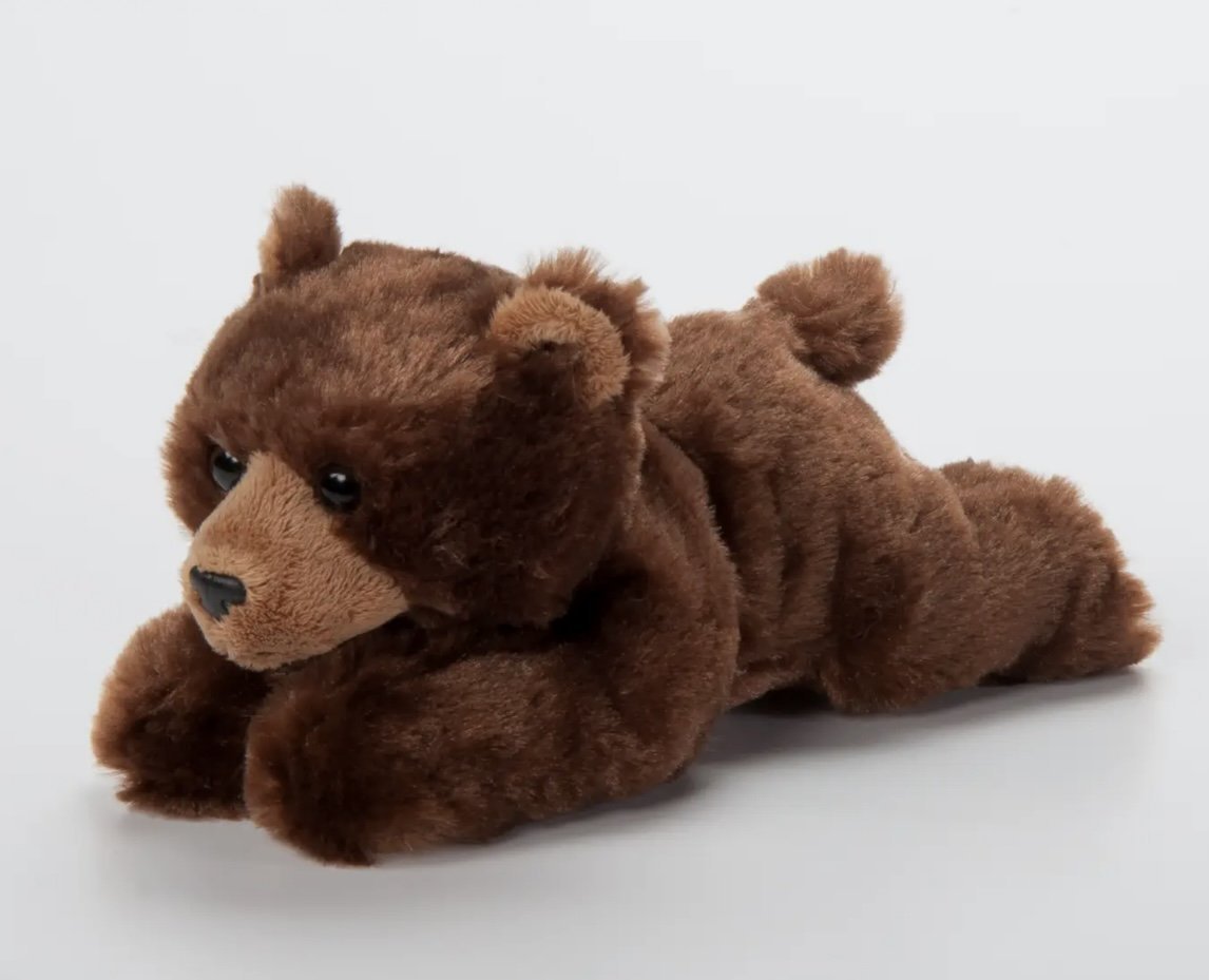 Scoops Brown Bear