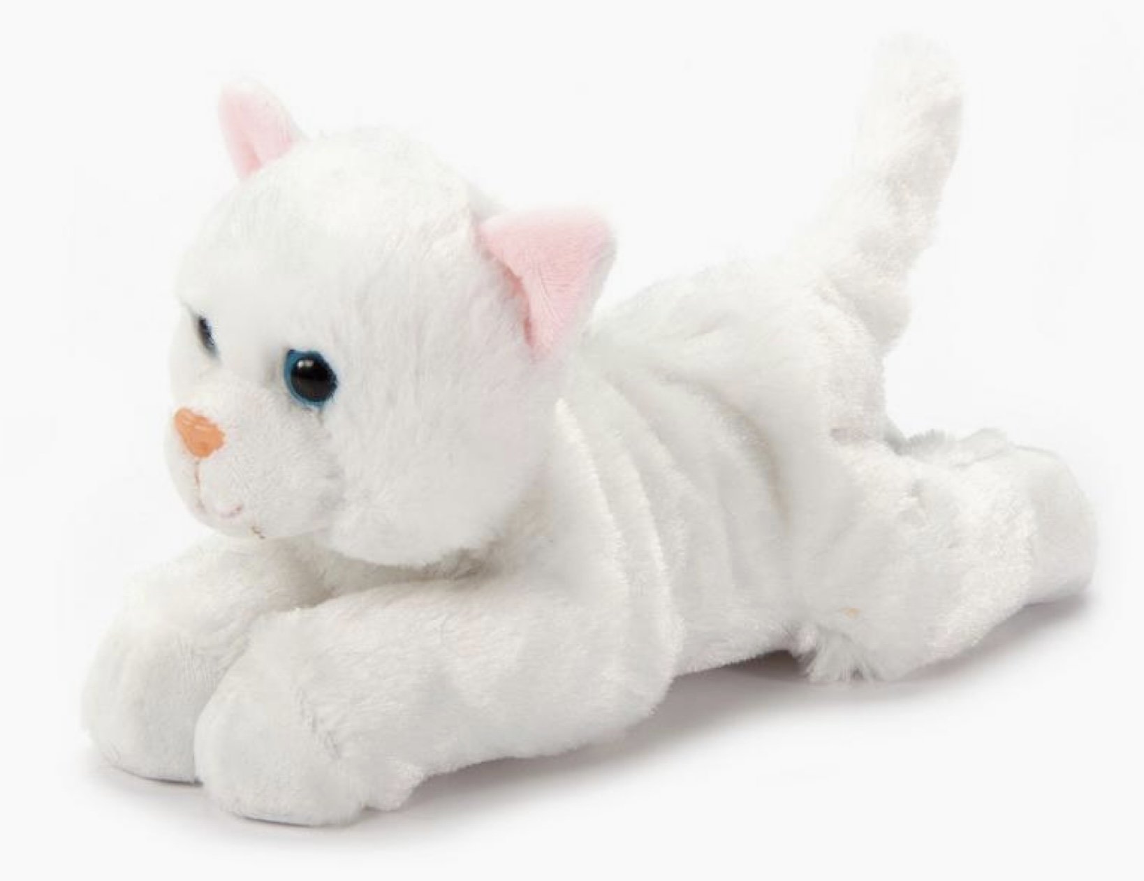Scoops White Kitten