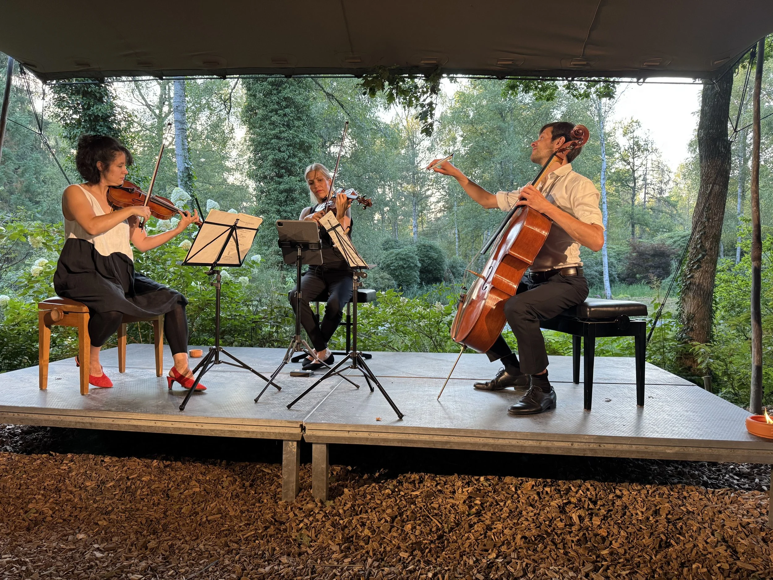 Bärenstutz@Villa Stucki 