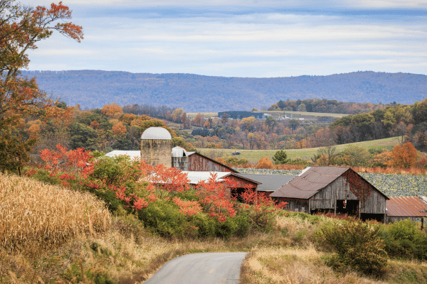 Why Buyer Competition Varies So Much Across Lehigh Valley Neighborhoods