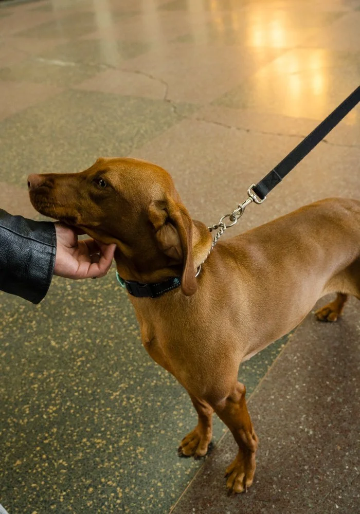 Asbury Park (130 of 46).jpg