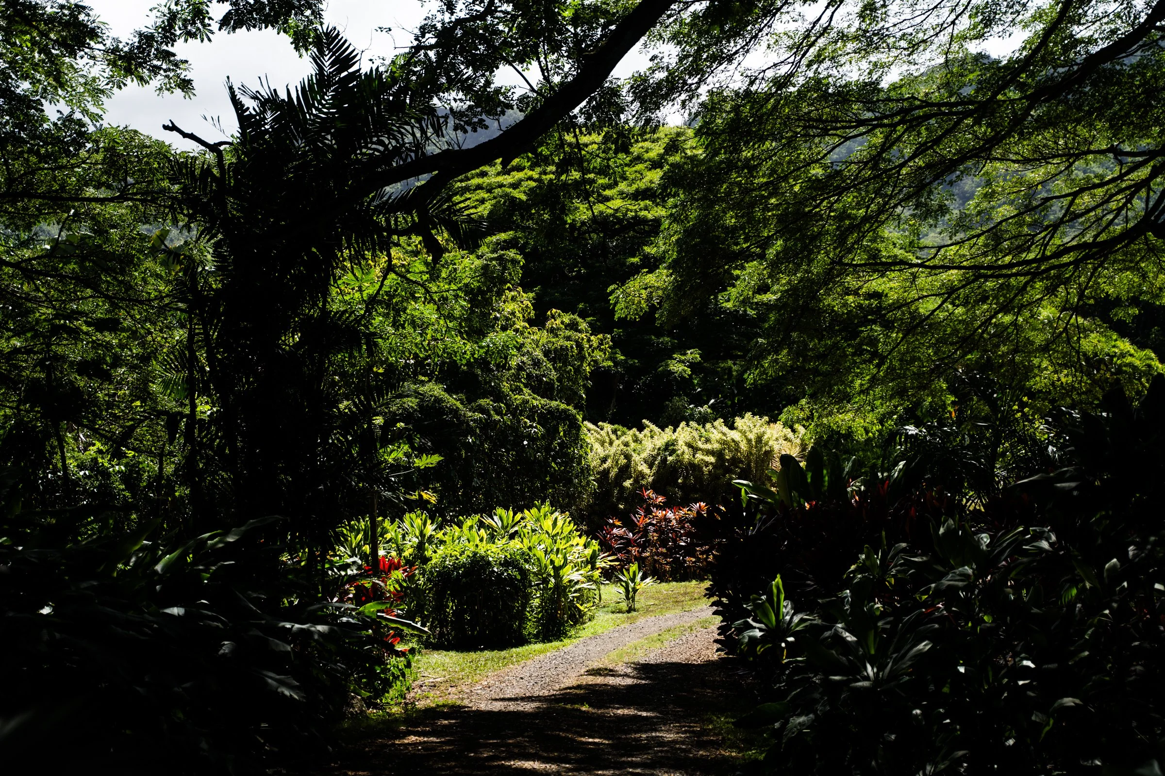 HAWAII (11 of 57).jpg