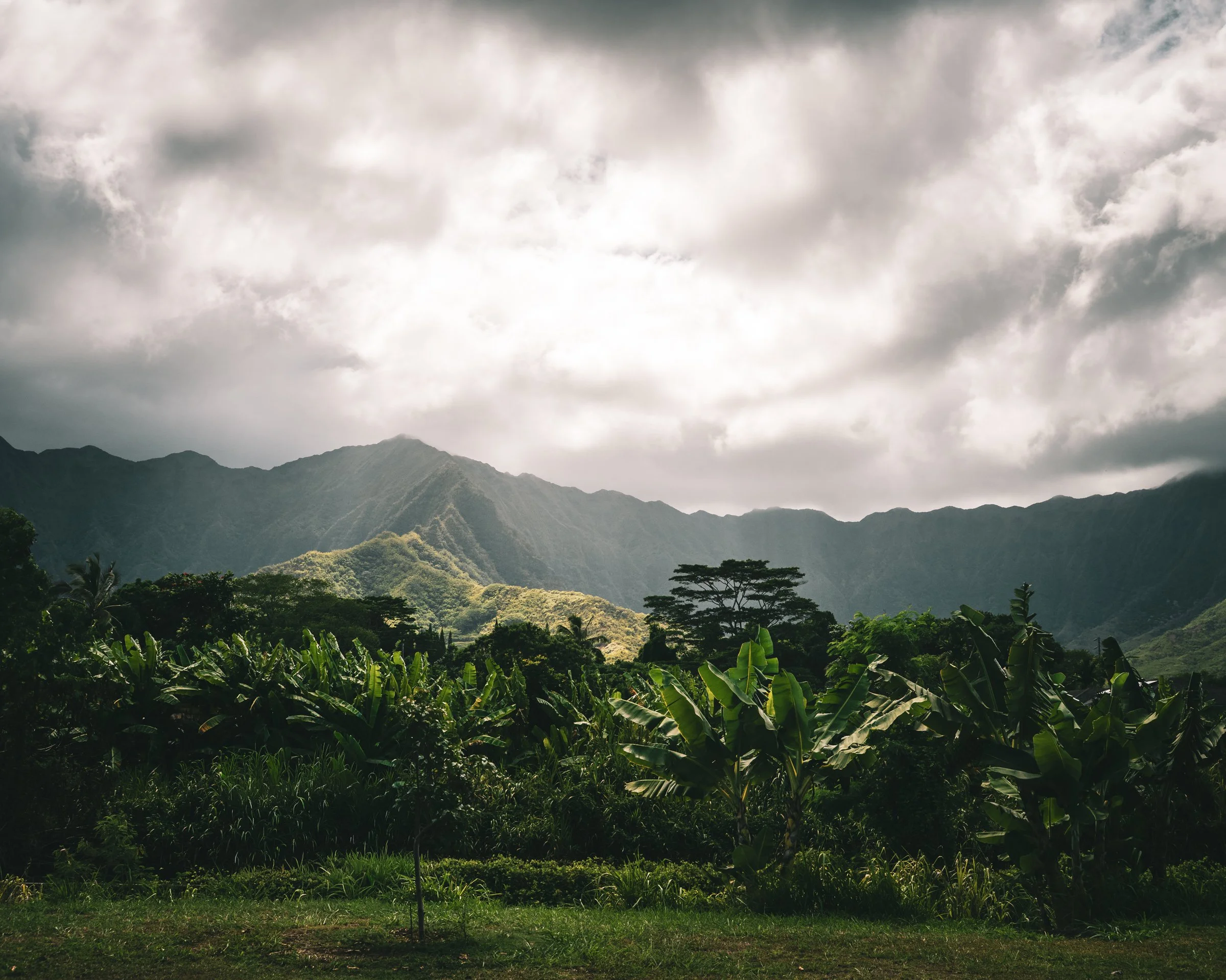 HAWAII (17 of 57).jpg