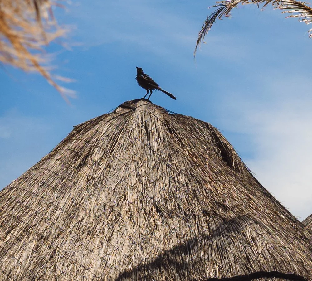 CANCUN 2024 (110 of 192).jpg