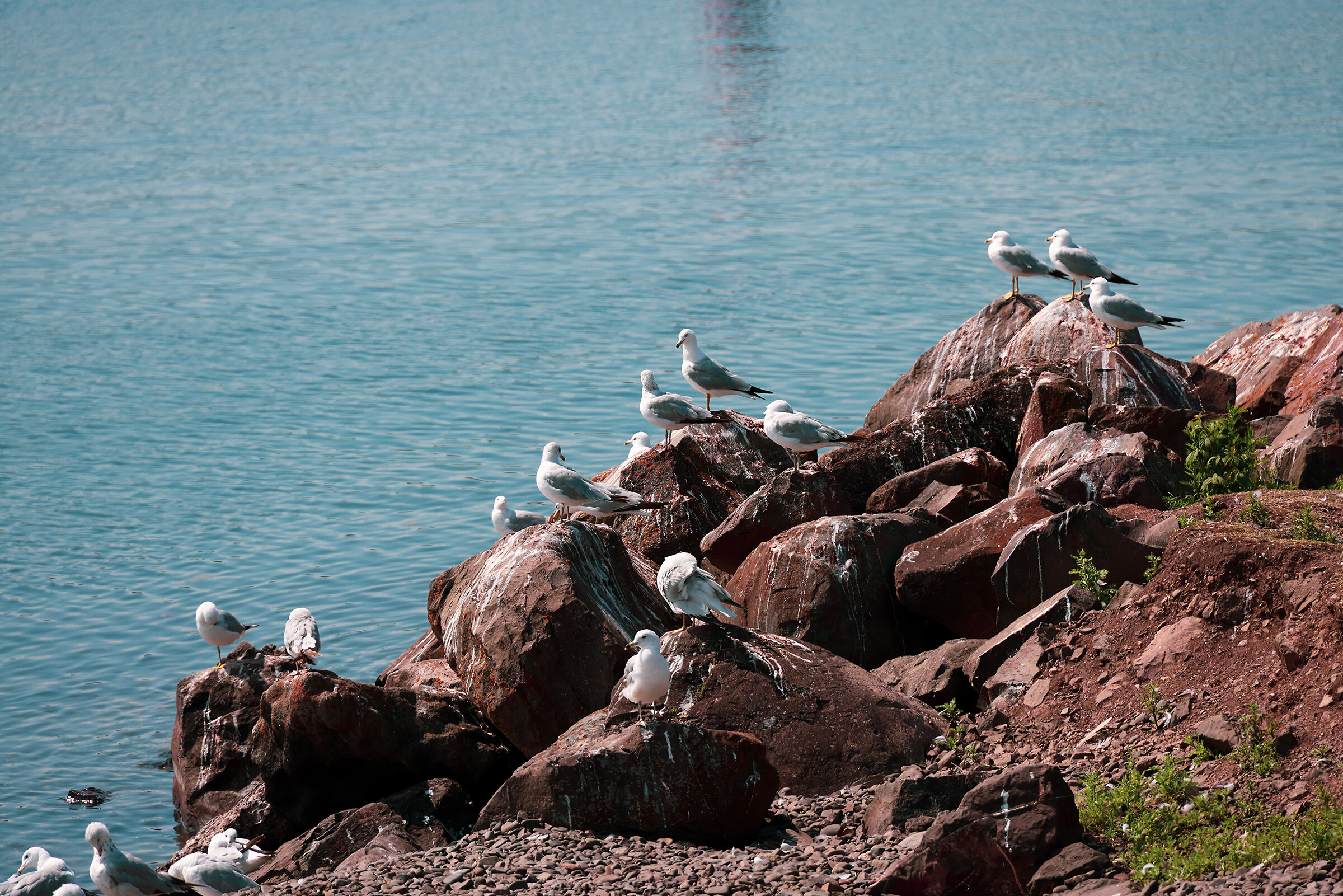 Duluth-4ps.jpg