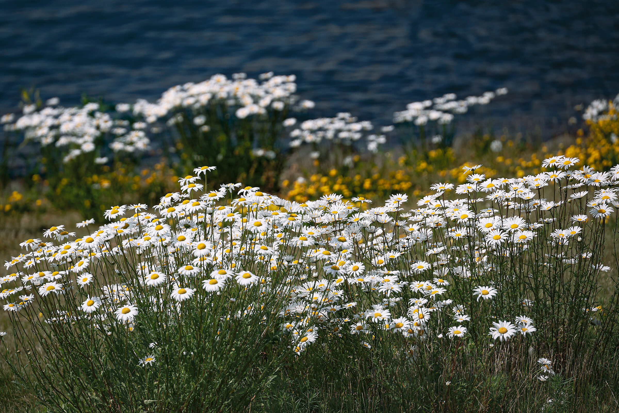 Duluth-5ps.jpg