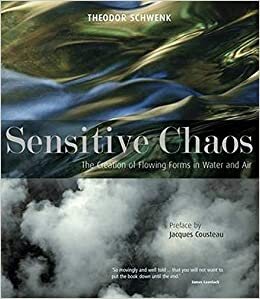 Sensitive Chaos.jpg