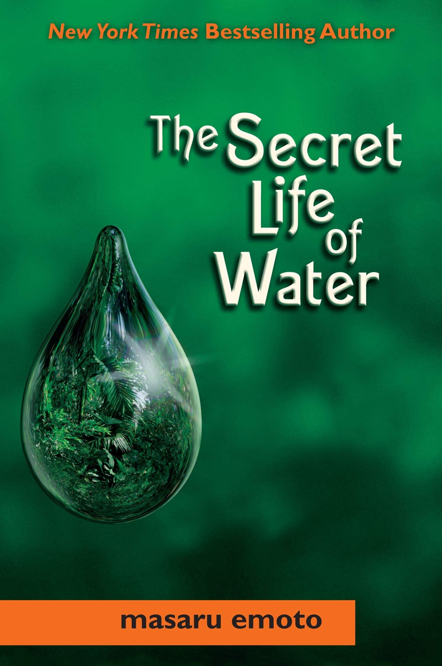 The Secret Life of Water.jpg