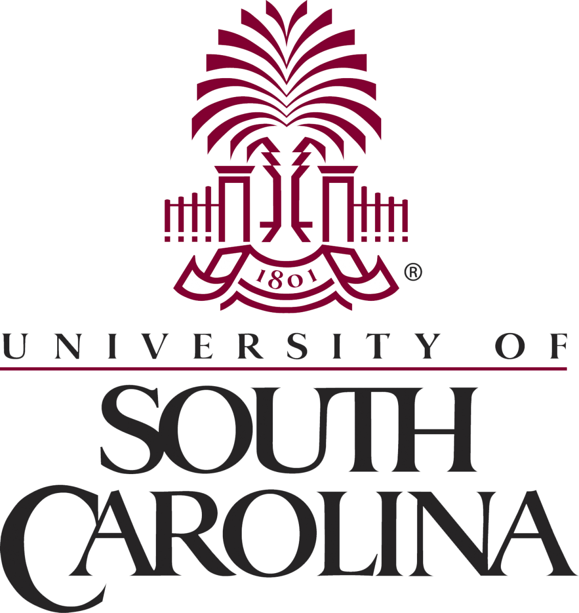 242-2425984_university-of-south-carolina-university-of-south-carolina.png