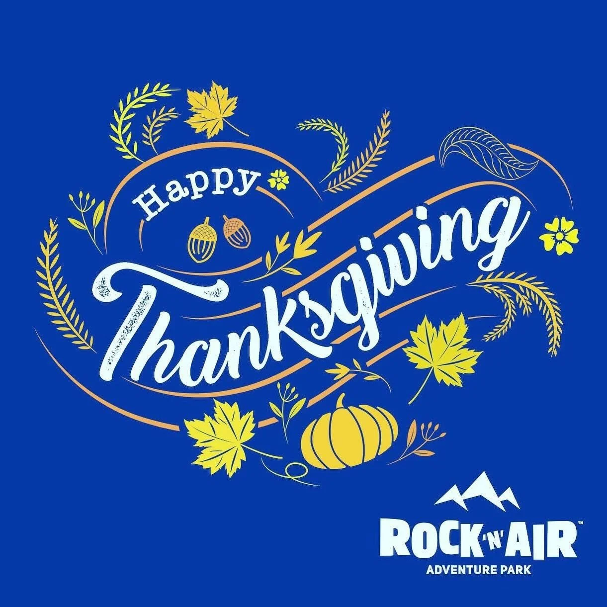 Happy Thanksgiving to you and your families! 🦃🍁