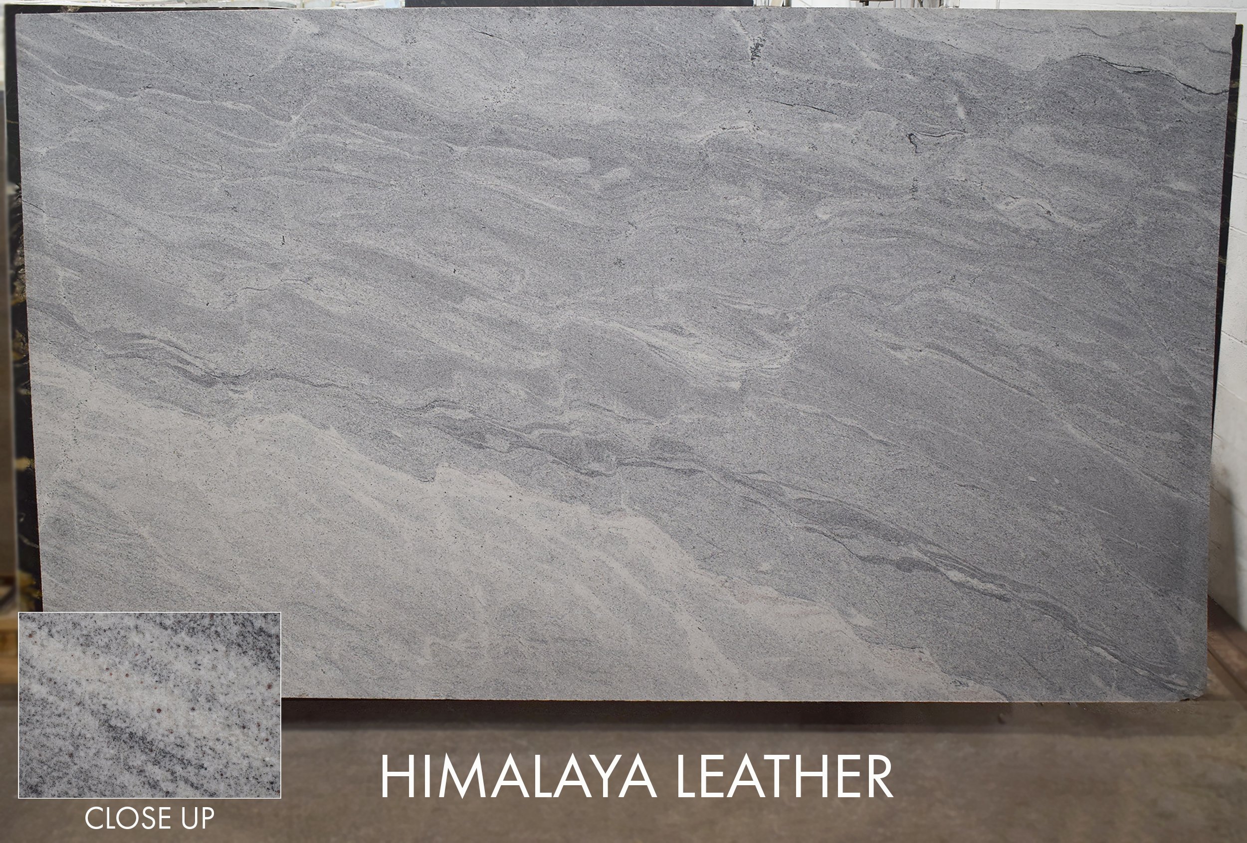 Himalaya (Leather Side) BRS070626-LP 124x79x3.jpg