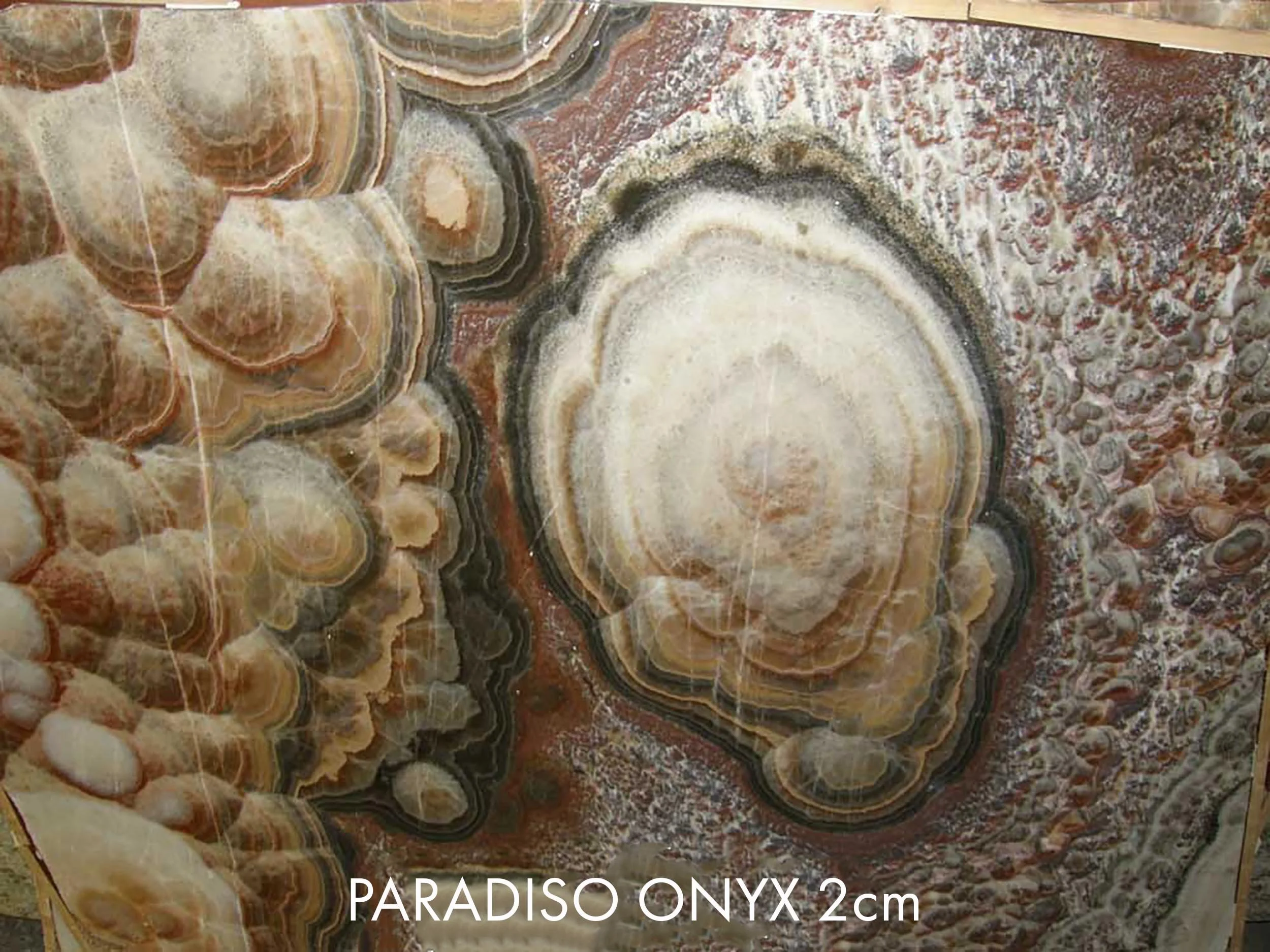 PARADISO 2CM | 85x62x2 | GRN072711 